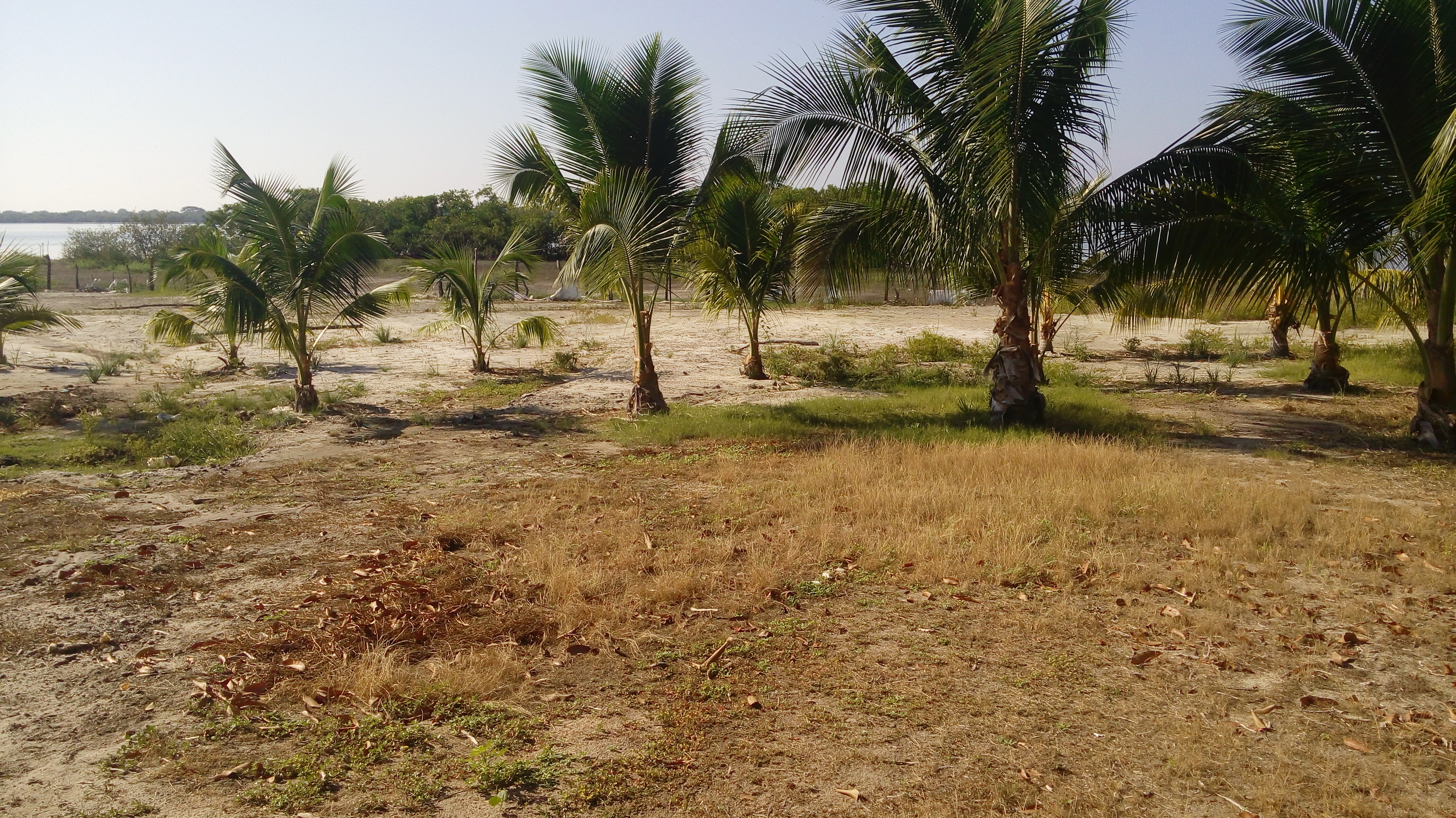 Alberca Y Chapoteaderon PARAISO DEL SOL image 5