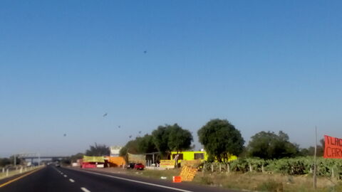 San Miguel image 4