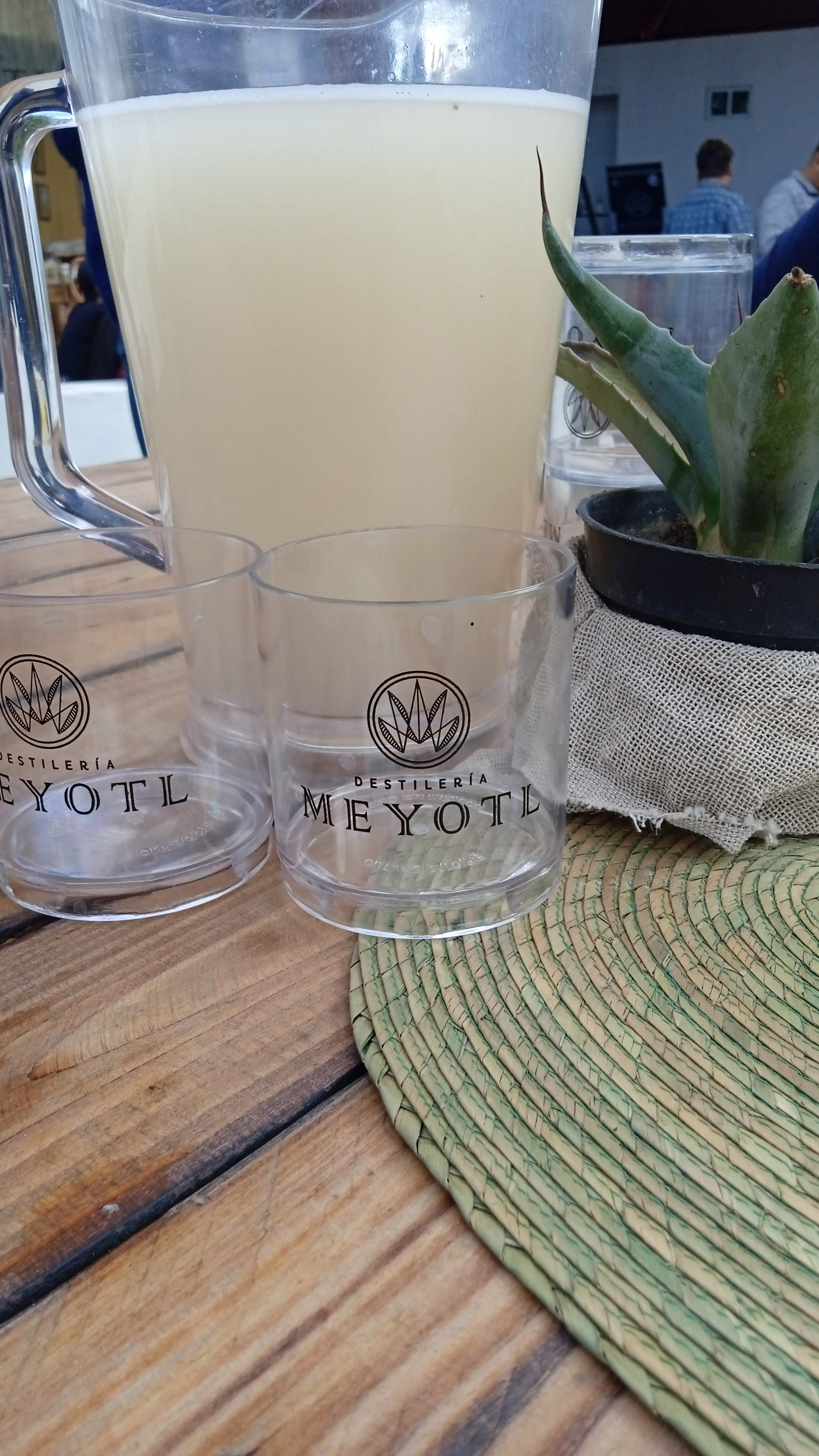 Mi Ultimo Refugio image 9