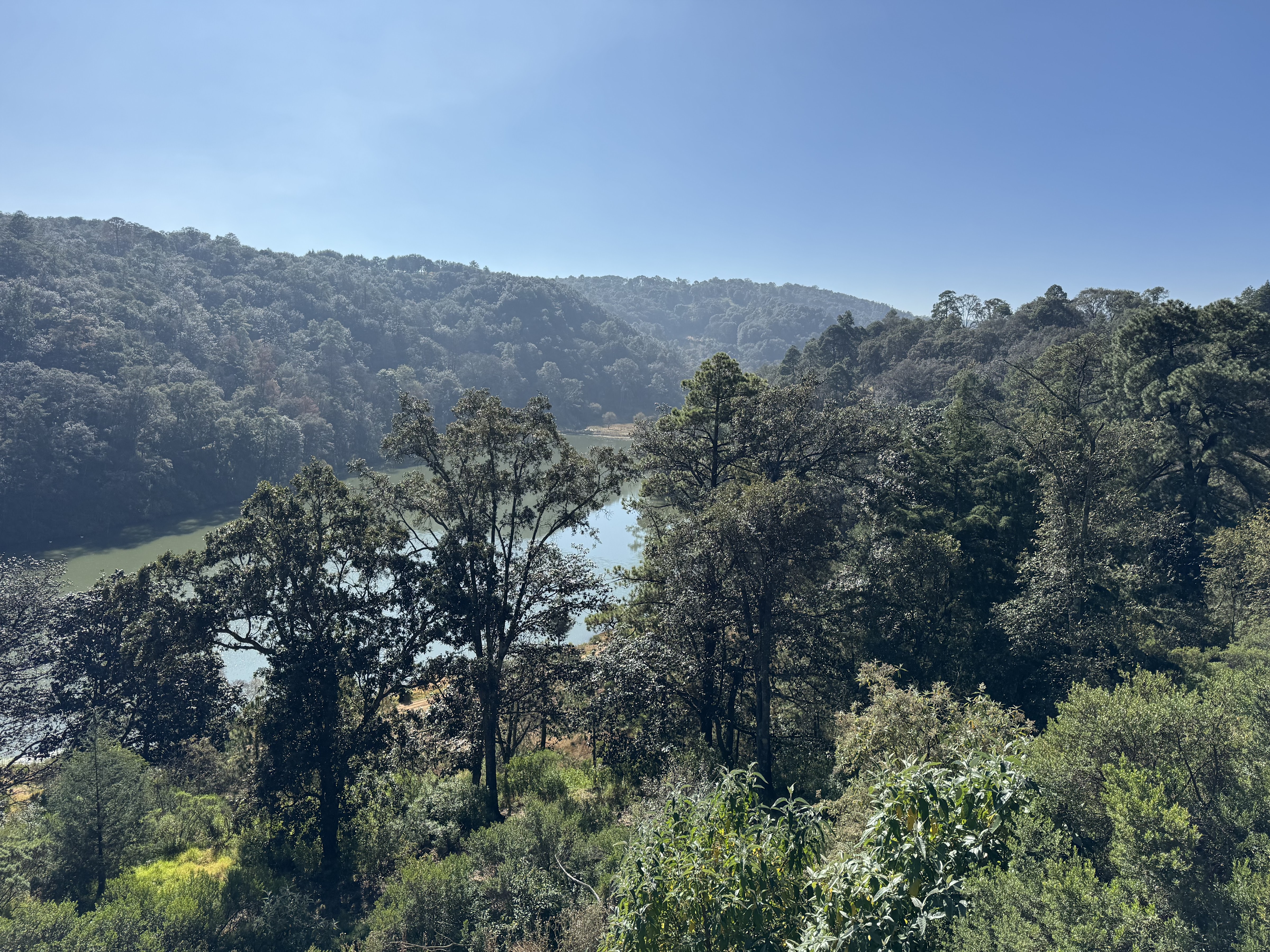 Barbacoa Don Chava image 3