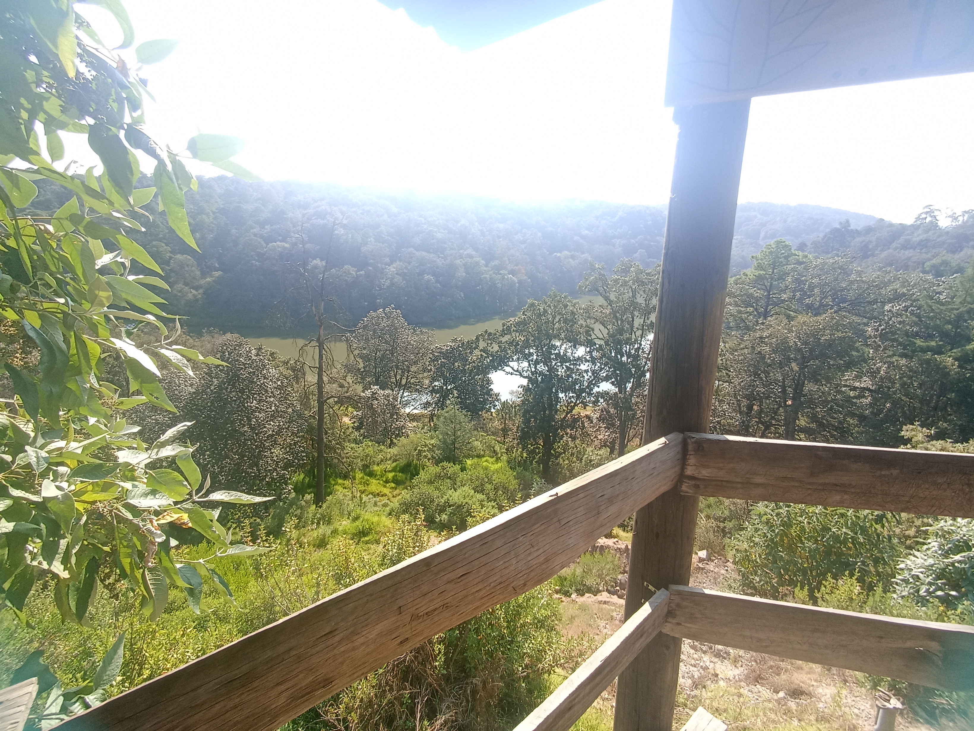 Barbacoa Don Chava image 4