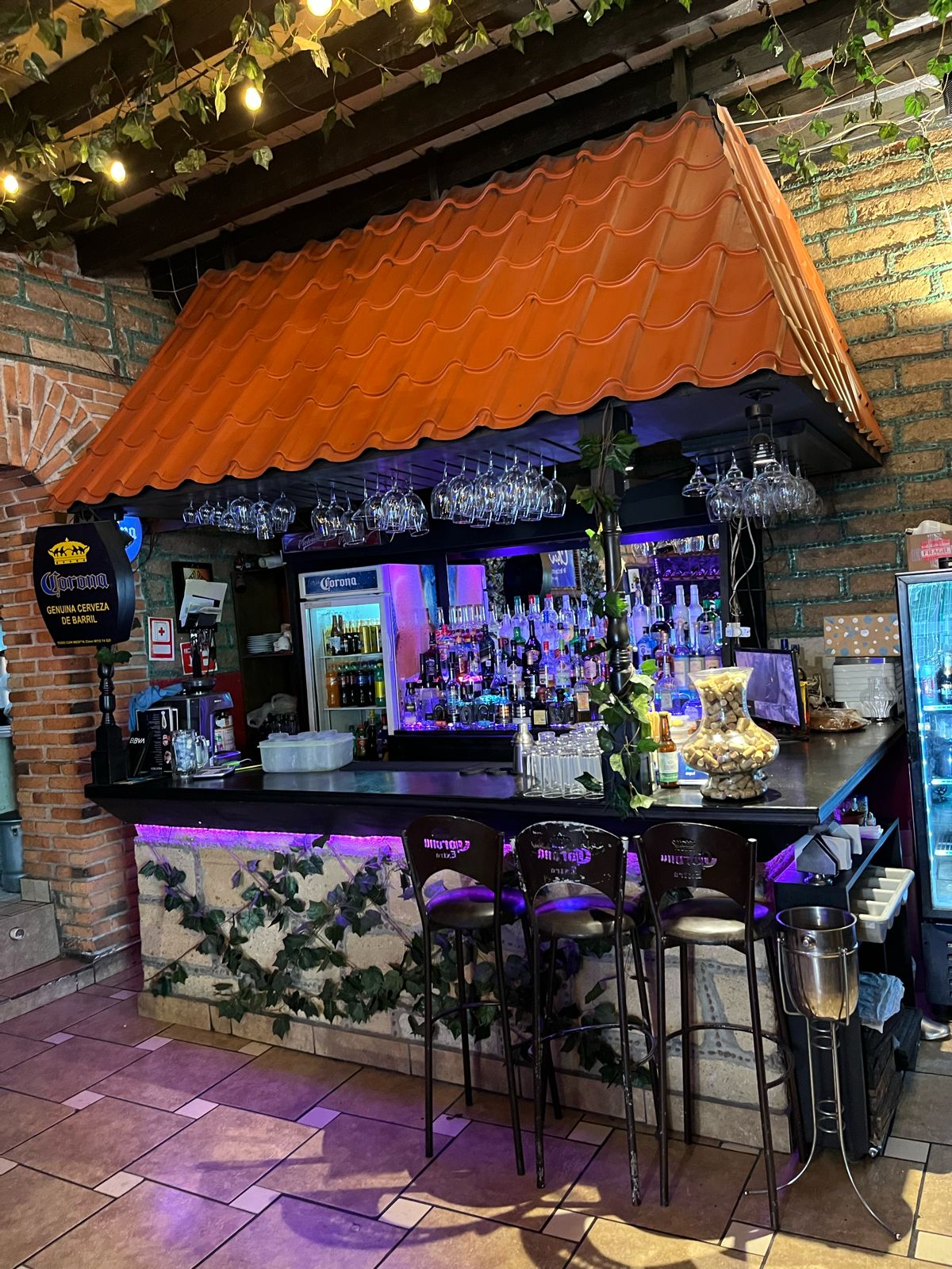 La Antigua Chiripa image 5