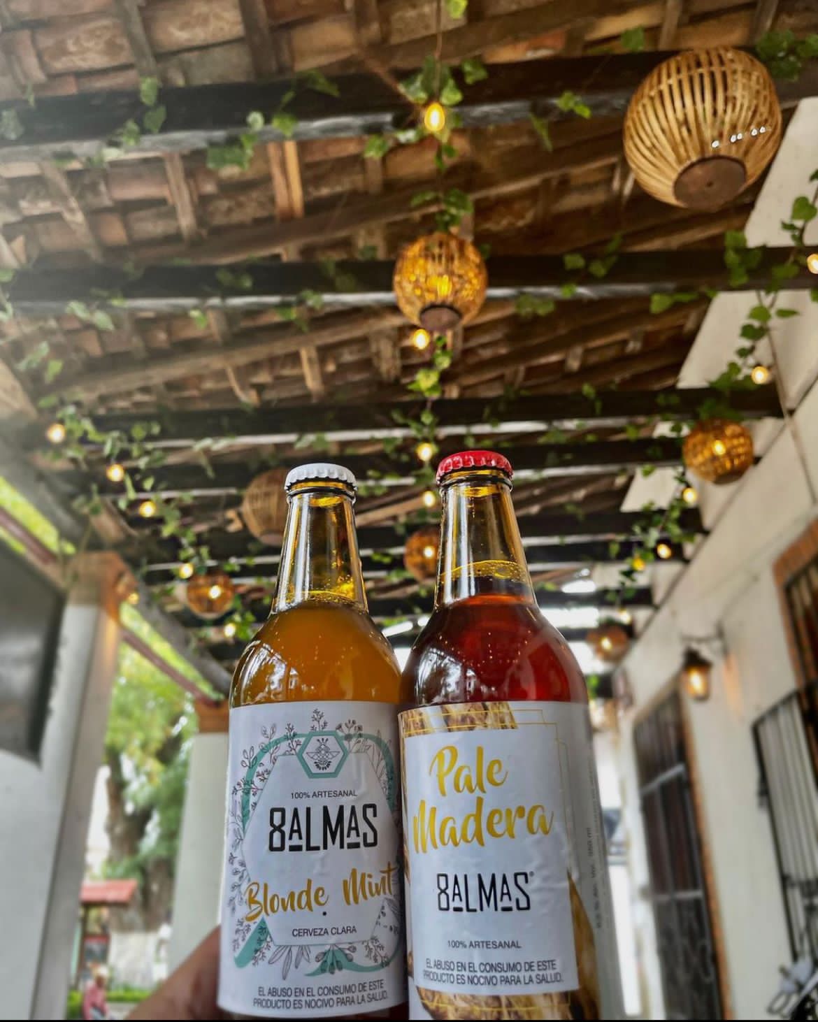 La Antigua Chiripa image 7