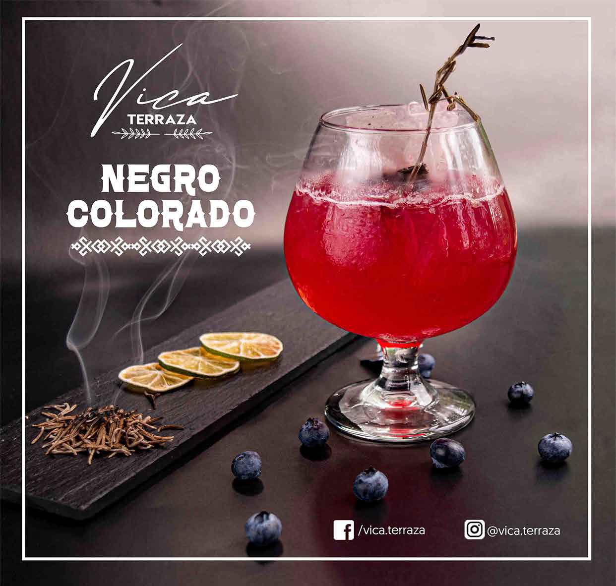 Vica Terraza image 2