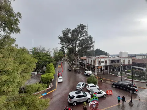 Vica Terraza image 4