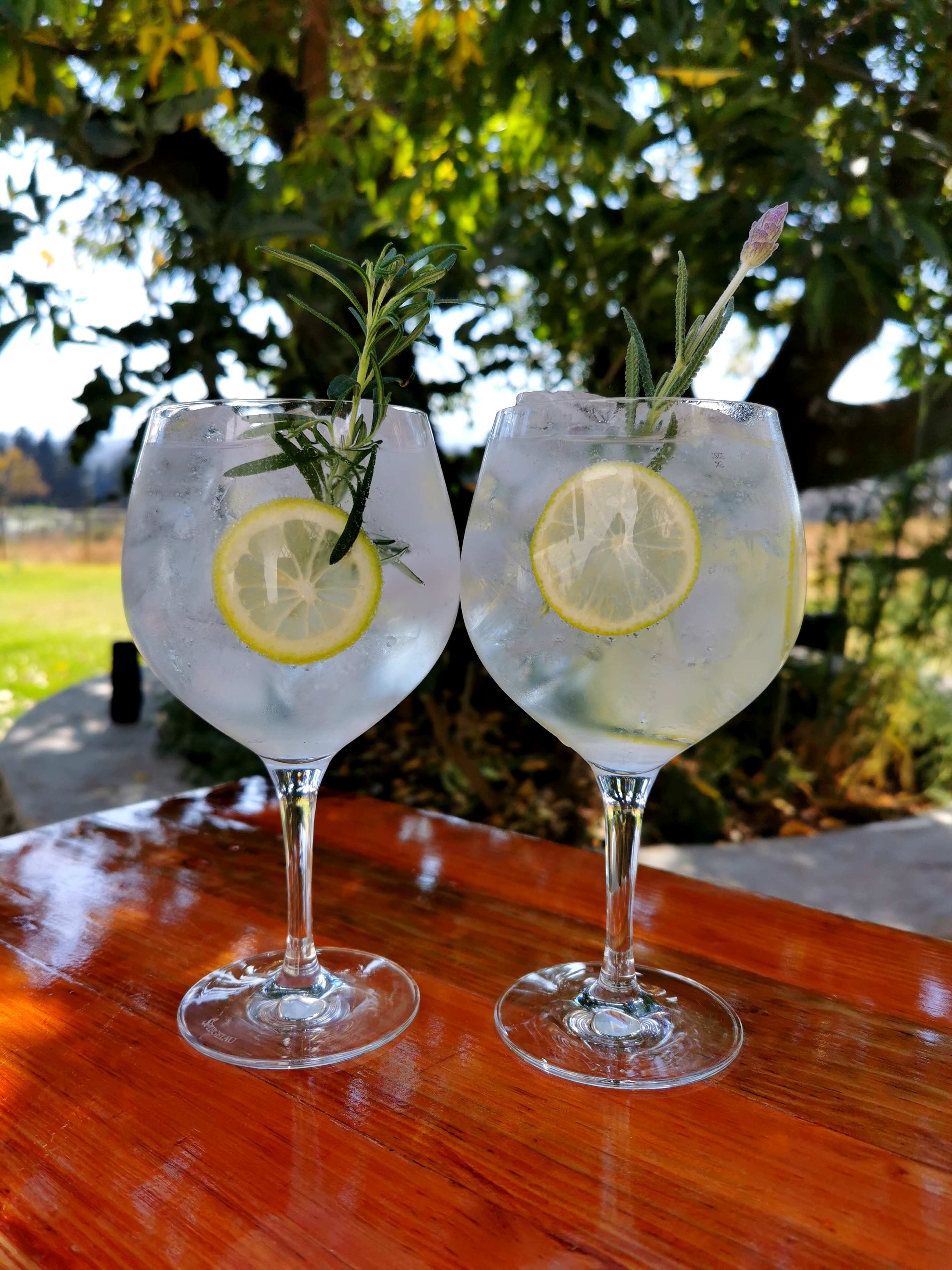 Cervecería Carbonera image 10