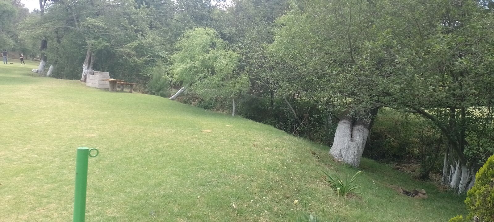 El Paraíso image 7