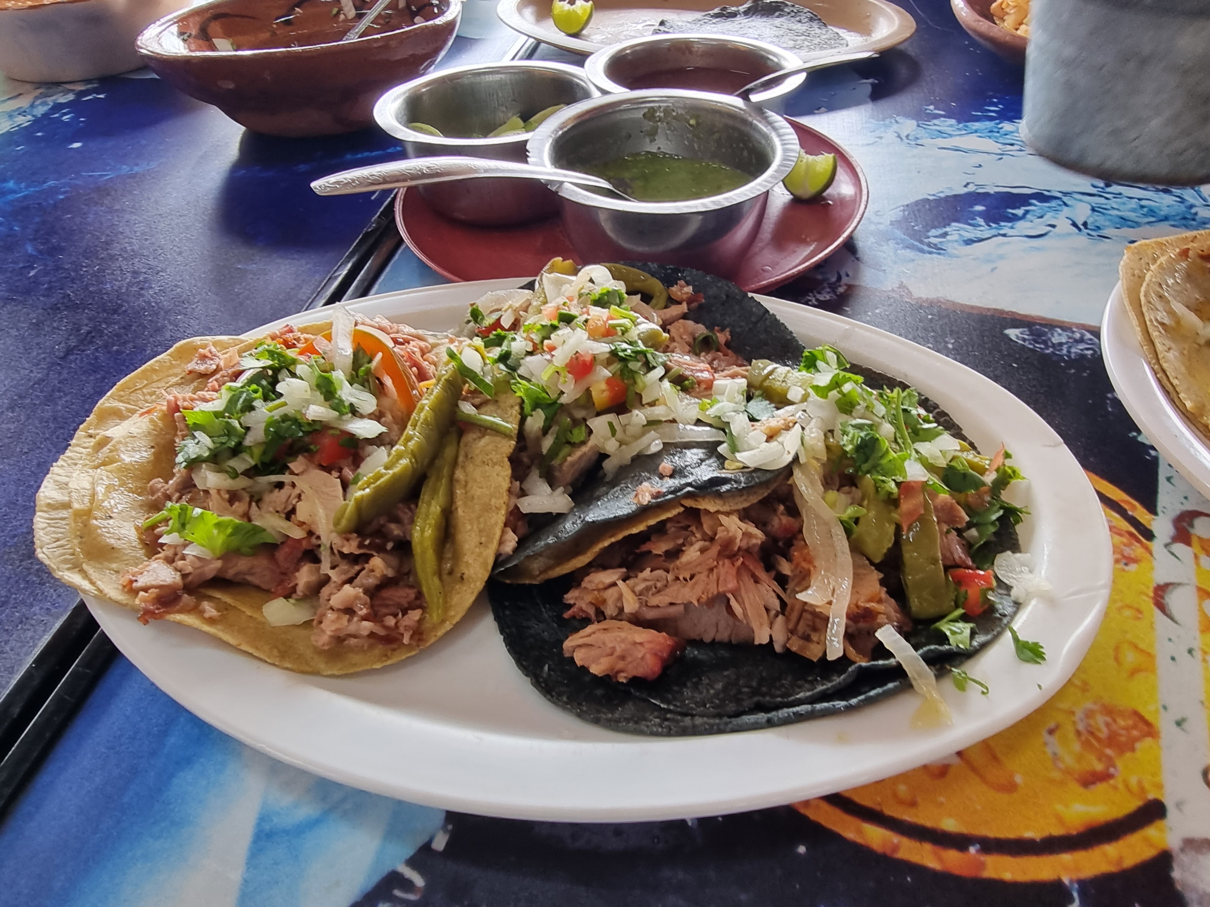 Carnitas Mundo Mio image 7