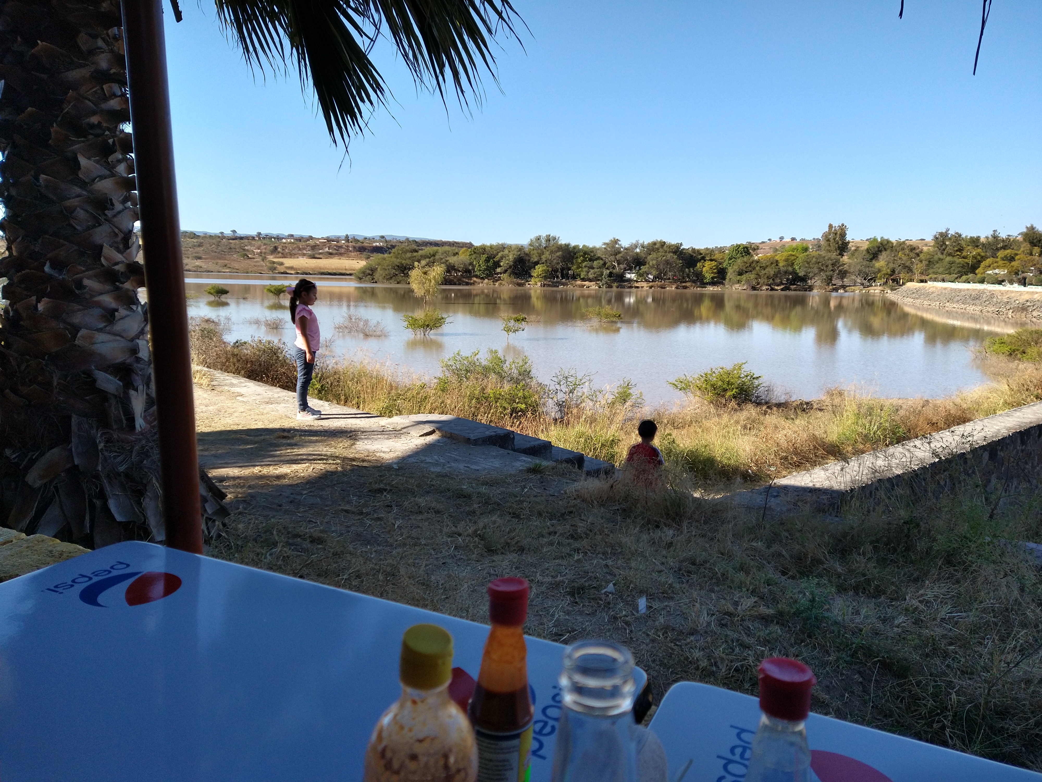 Mariscos Pepe's La Presa image 6