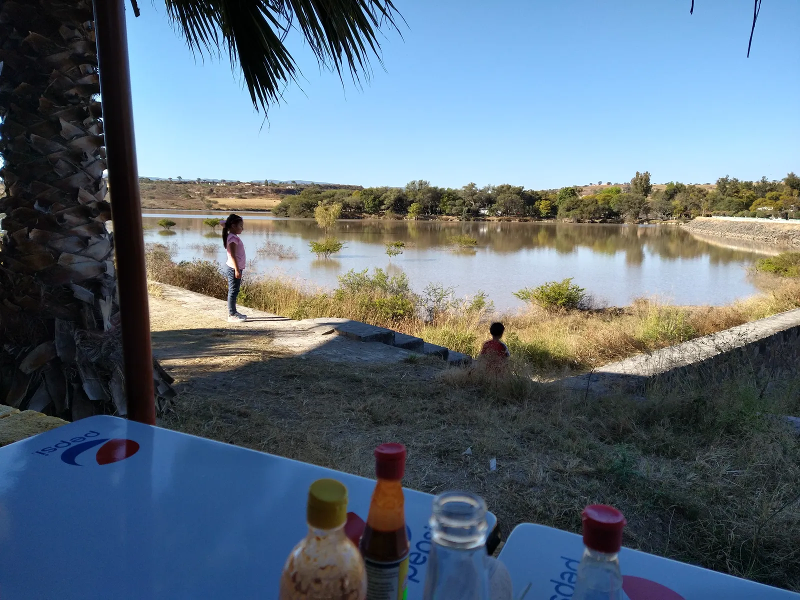 Mariscos Pepe's La Presa image 6