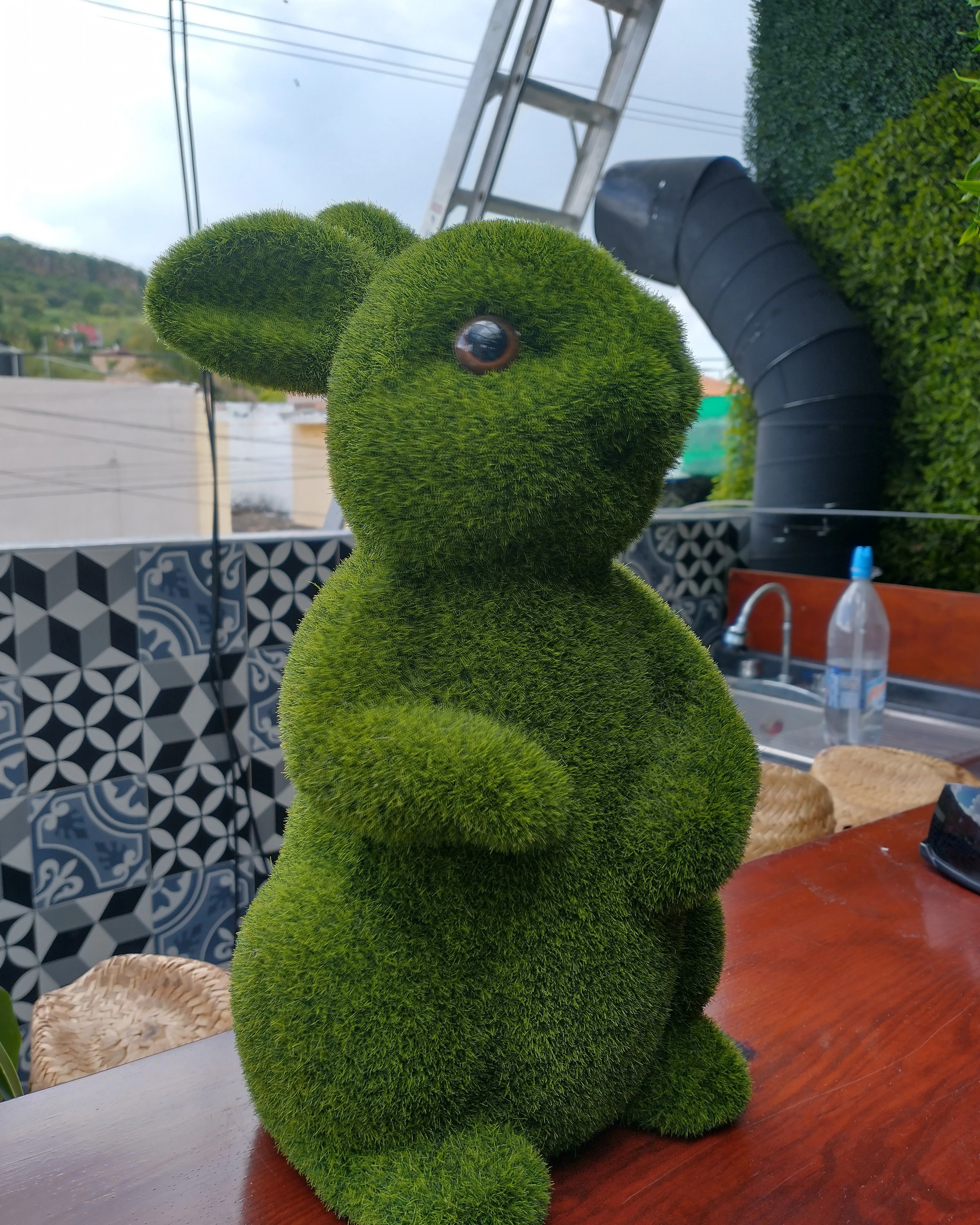 Dolce delizia image 5