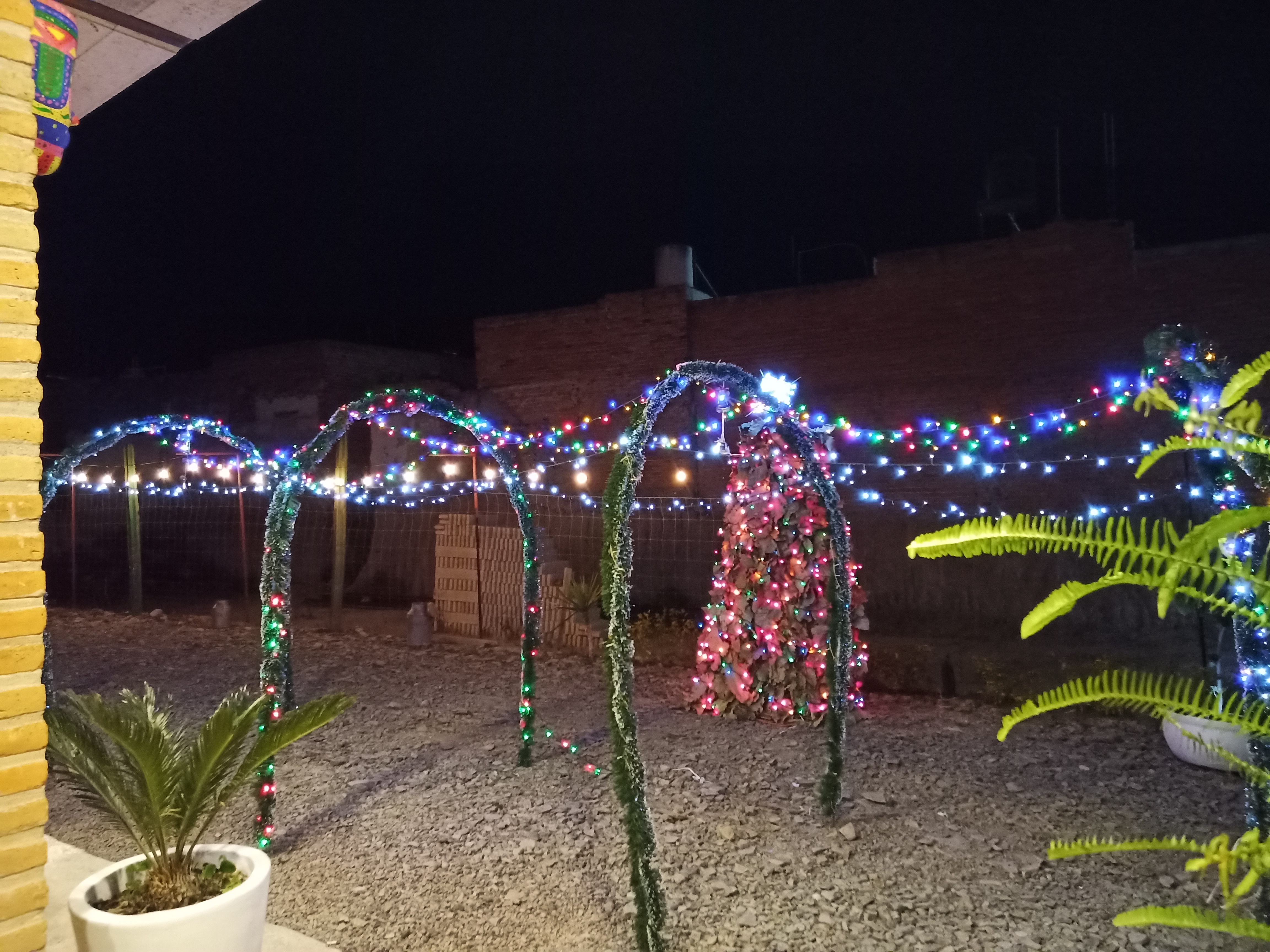 Alebrije - Resto Bar image 4