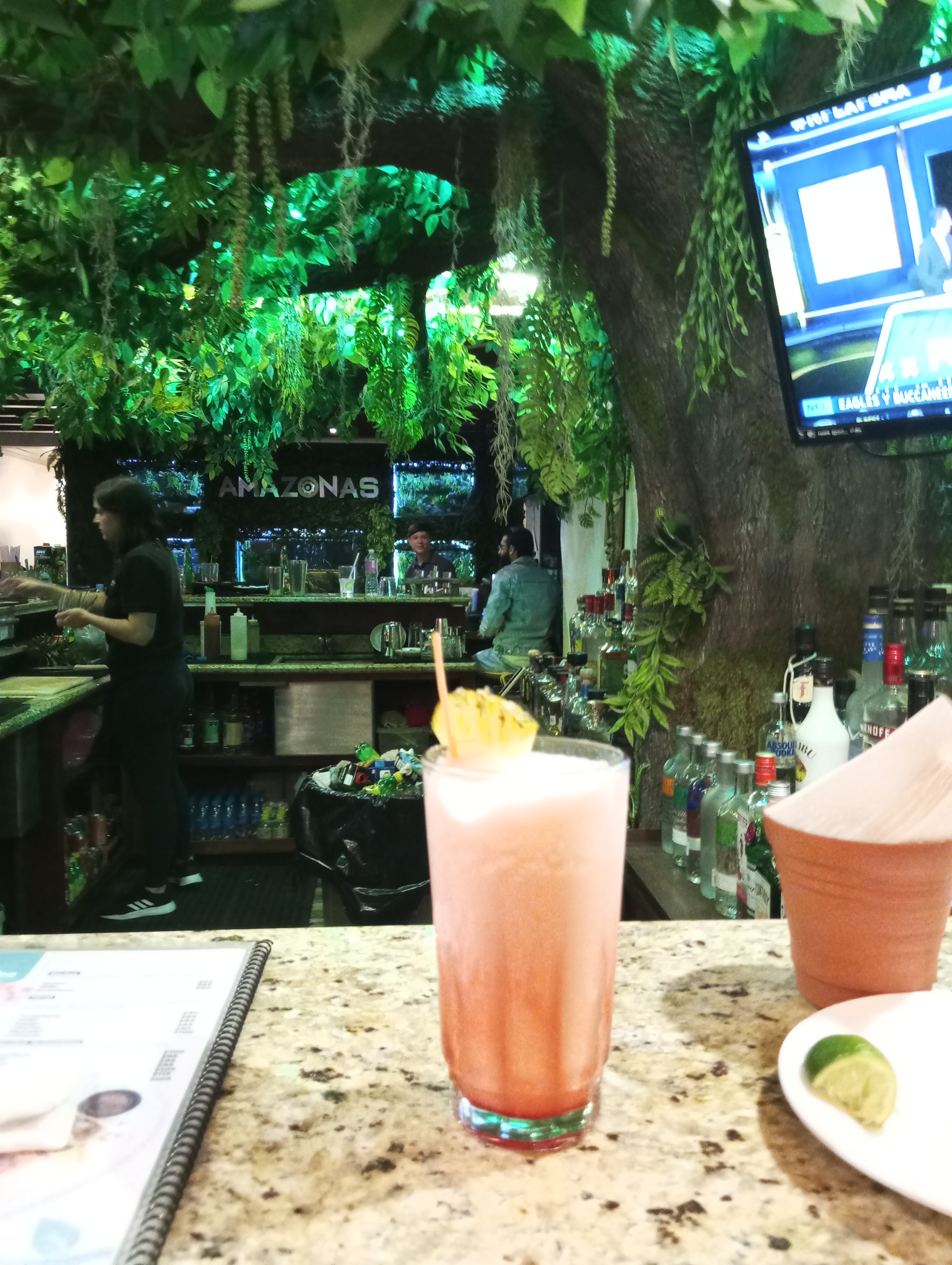 Amazonas, Restaurant, Bar image 7