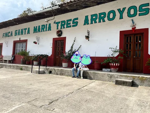 Finca Santa Maria 3 Arroyos image 3