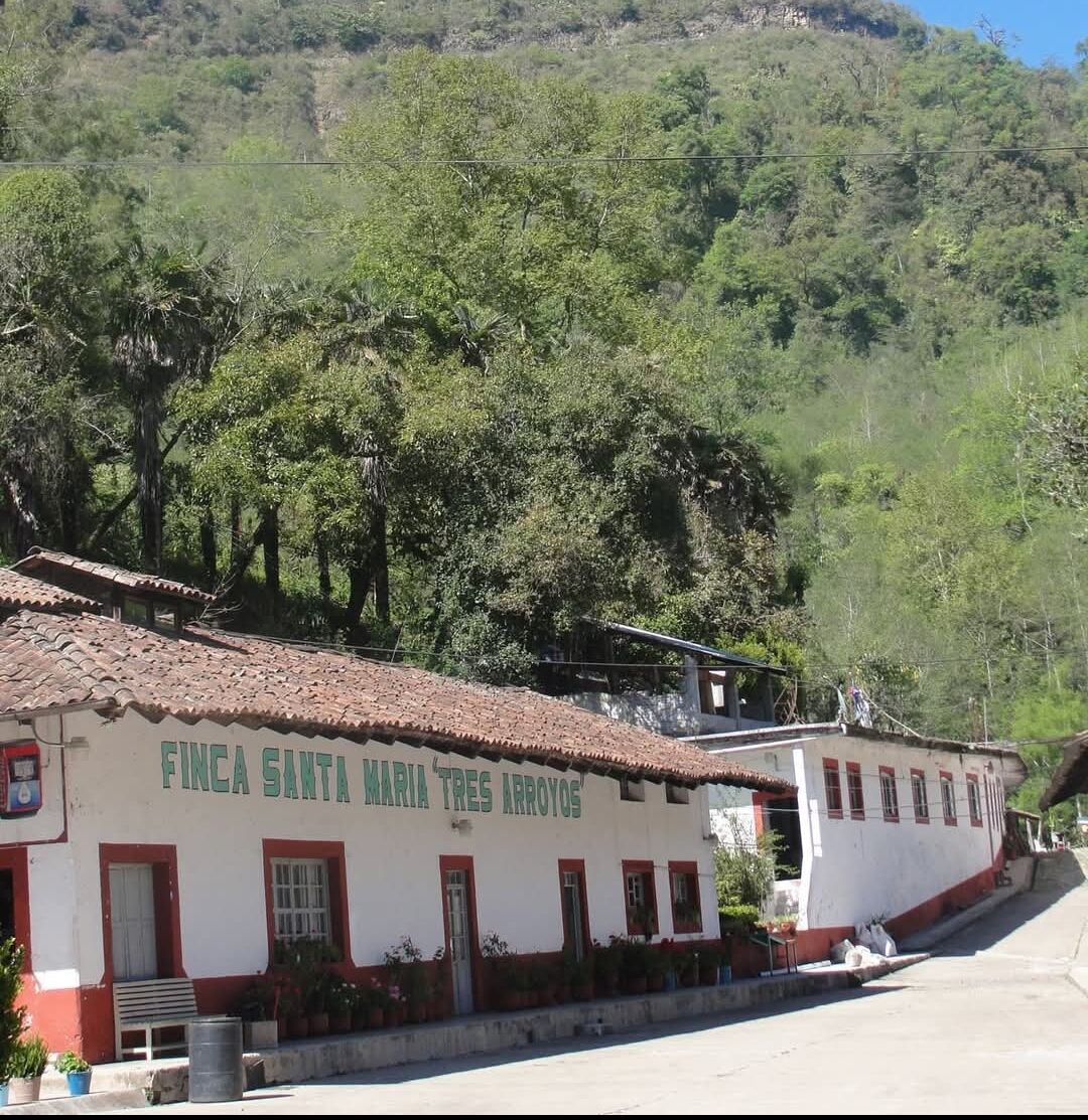 Finca Santa Maria 3 Arroyos image 4