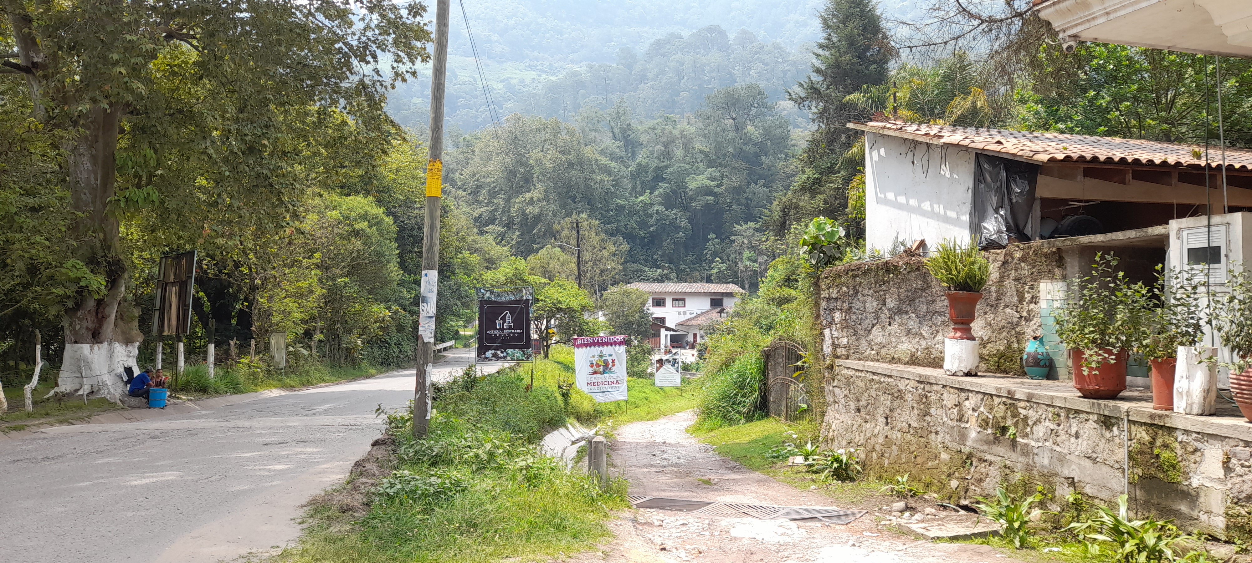 FONDA MARGARITA EL REINO DEL SABOR image 2