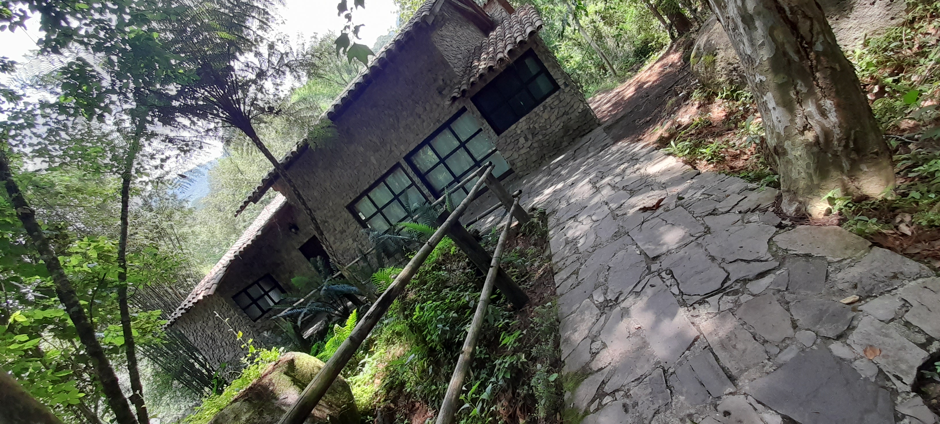 FONDA MARGARITA EL REINO DEL SABOR image 4