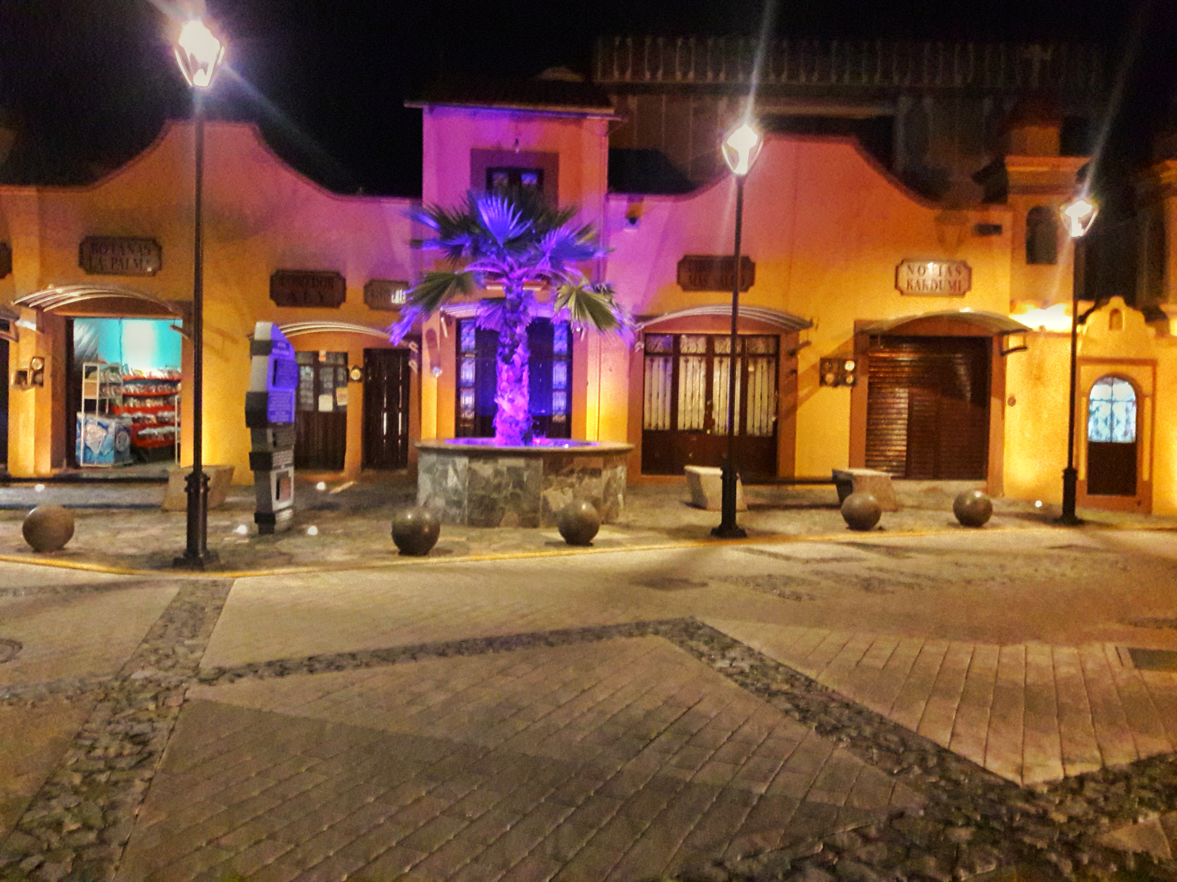 Taquería La Palma image 4