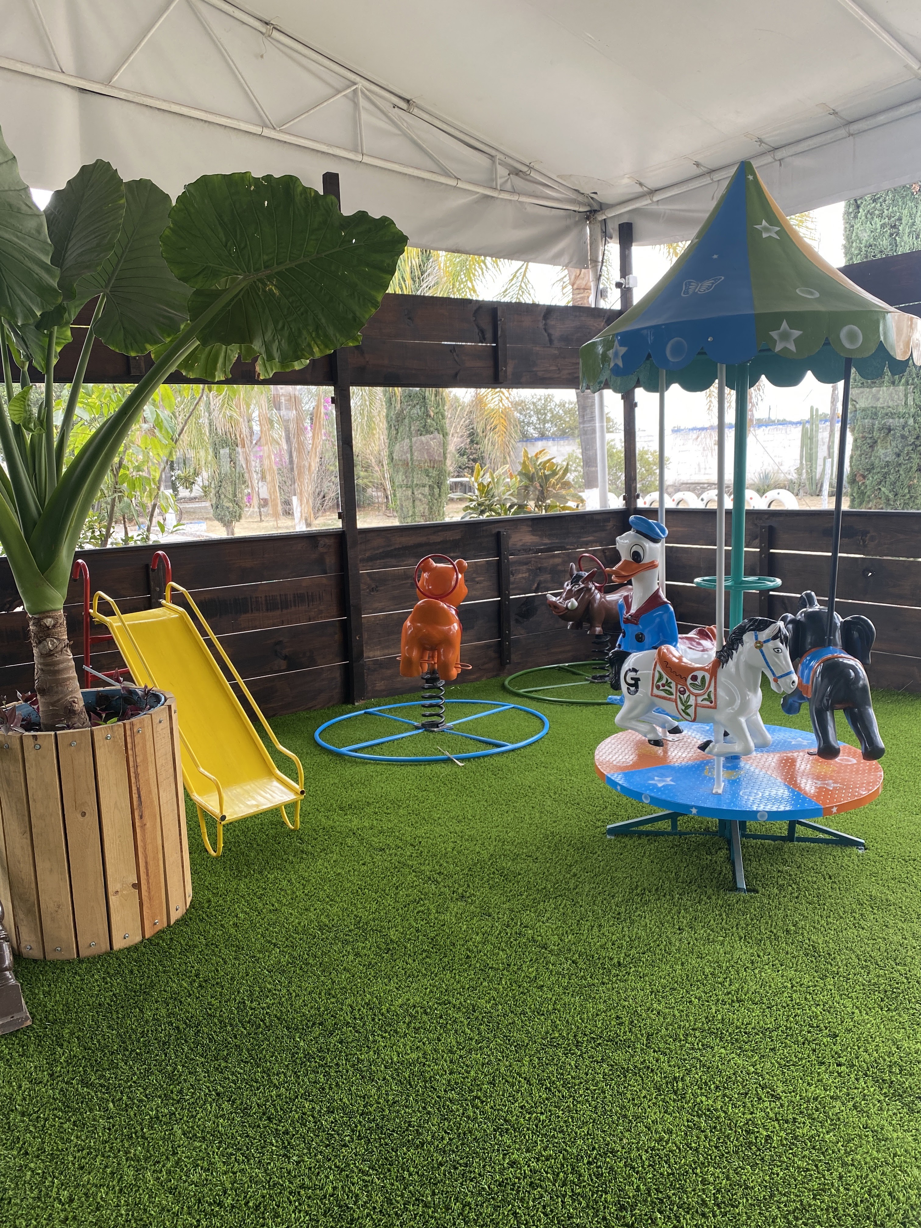 Capitán Raya image 3