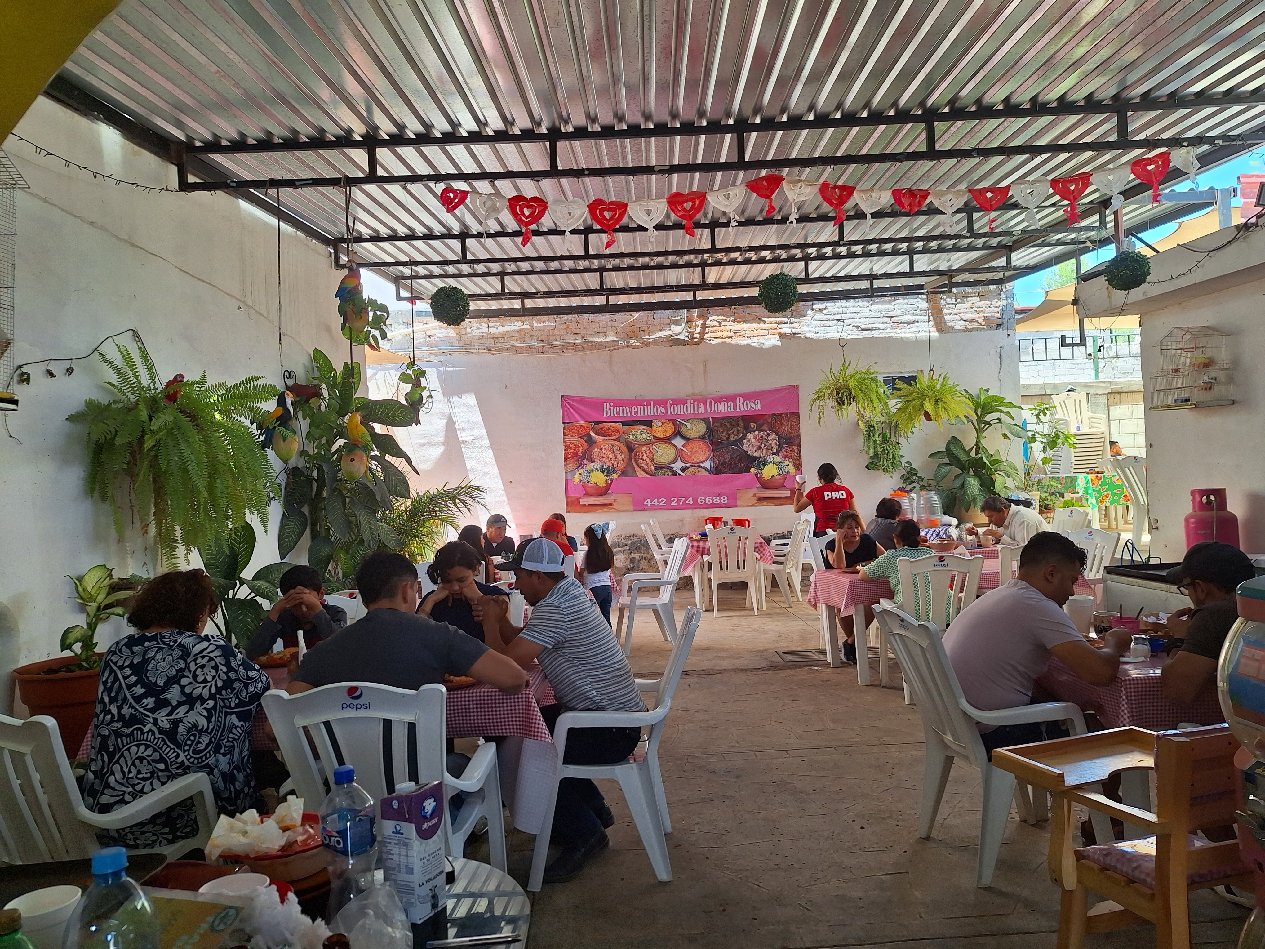 Fonda Bufet Doña Rosa image 1