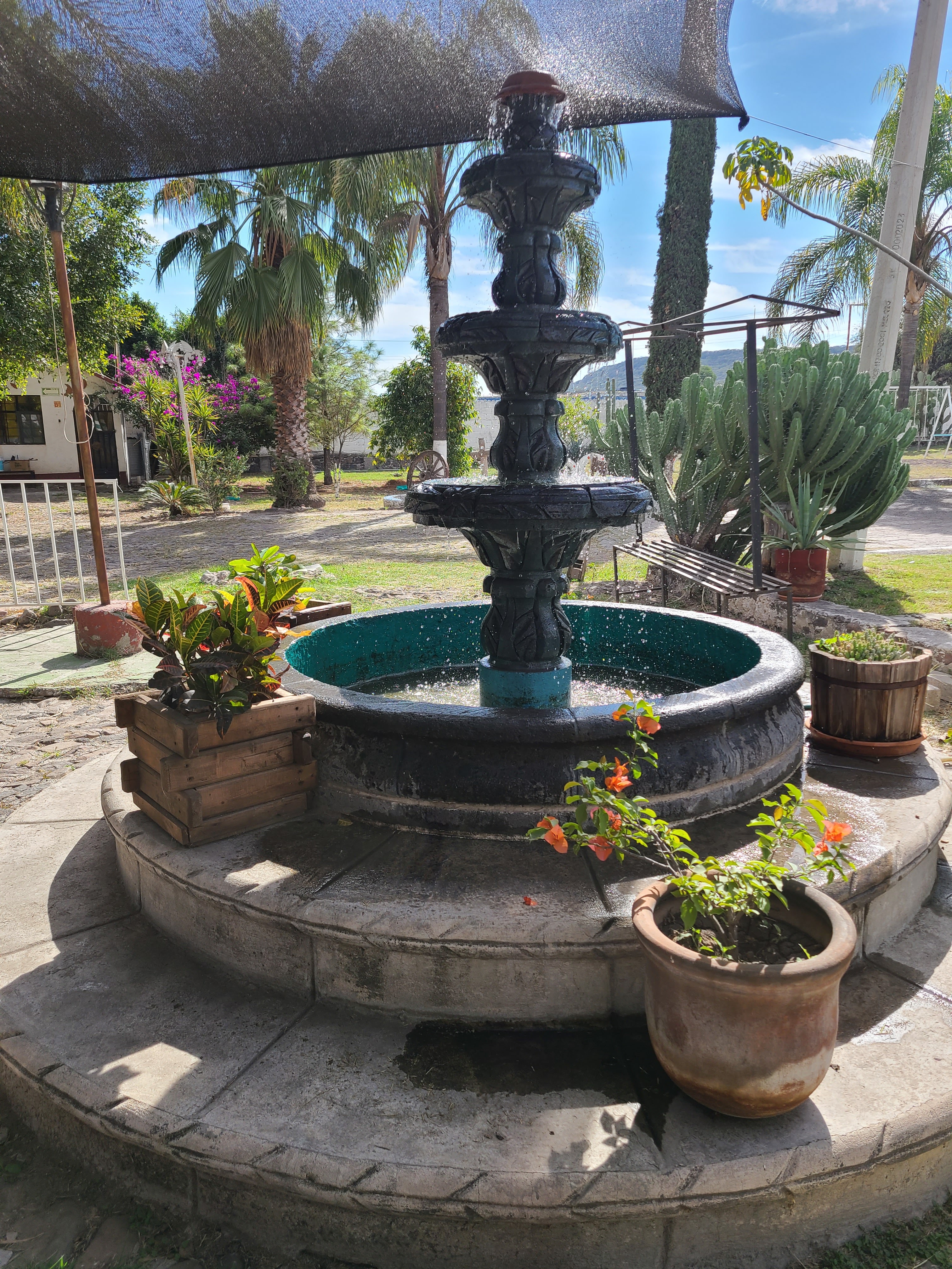 Birria Abuela Lala Tlacote image 10