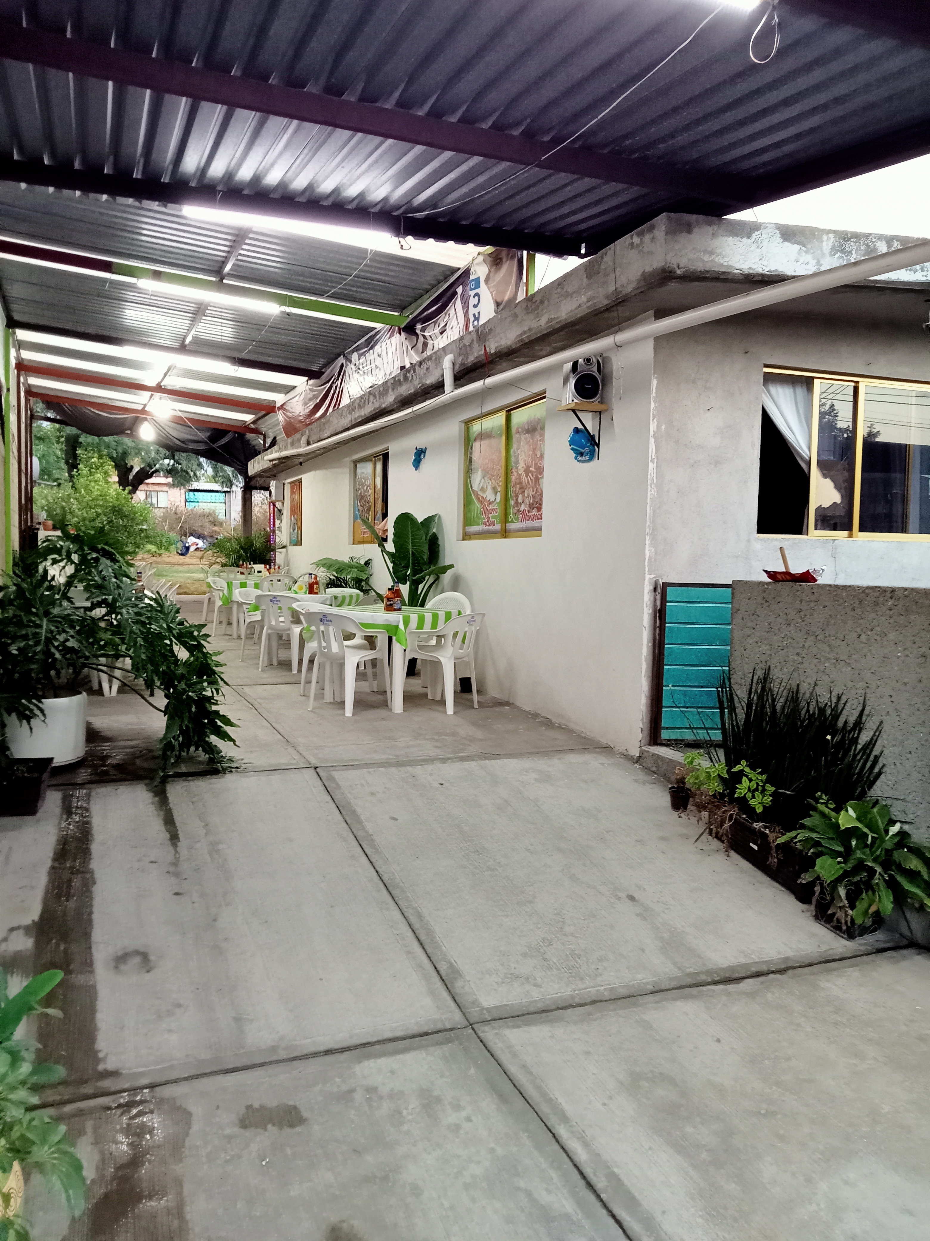 Mariscos Pepe image 9