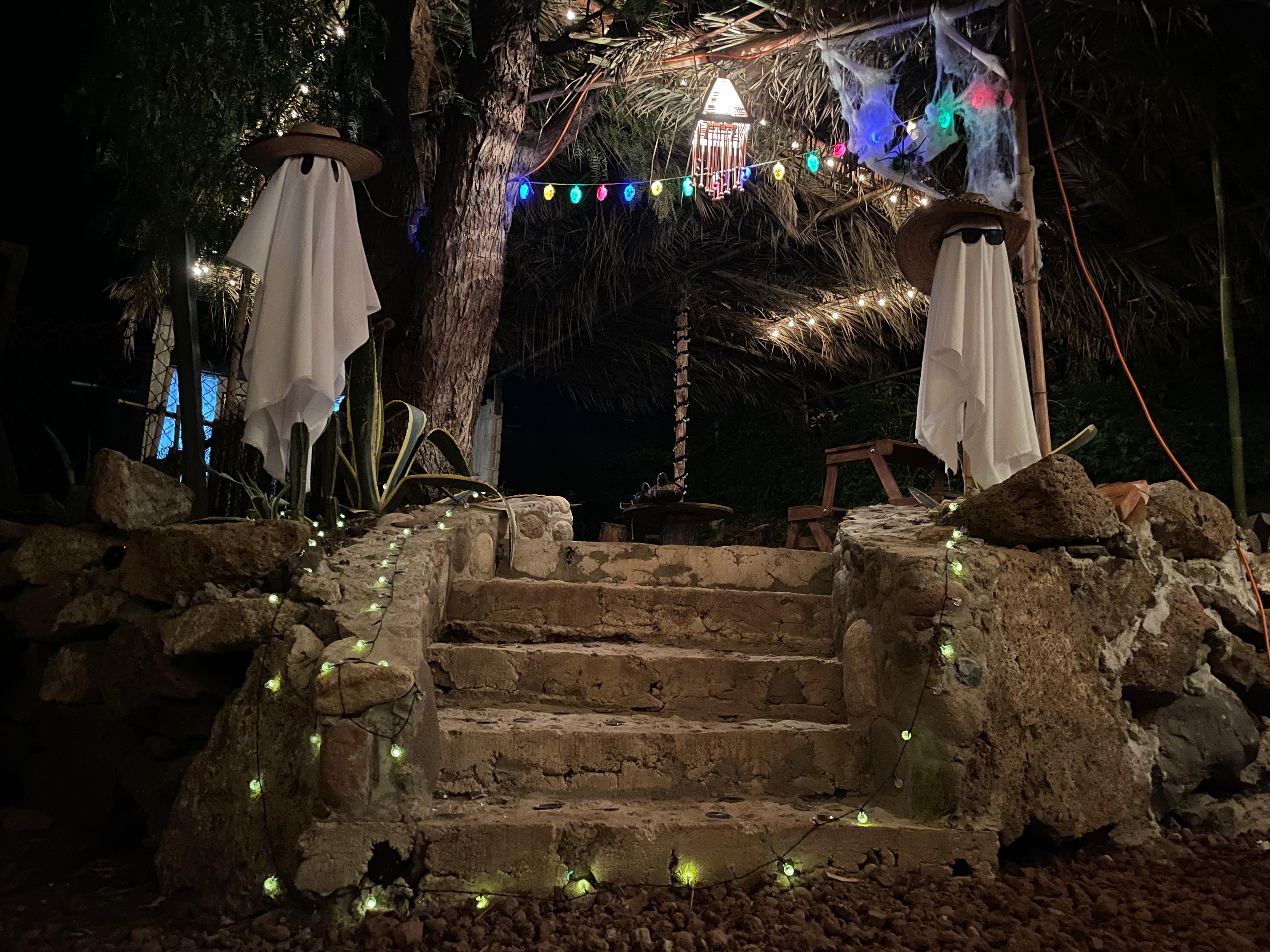 Bella Vista Bar Restaurant image 10