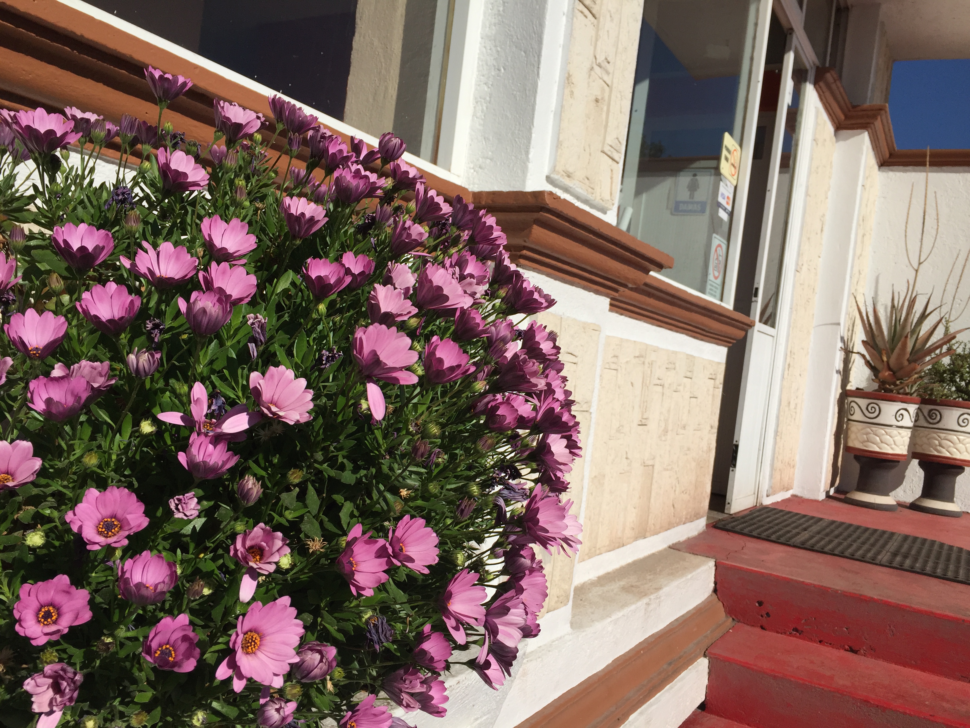 Salón Anita image 3