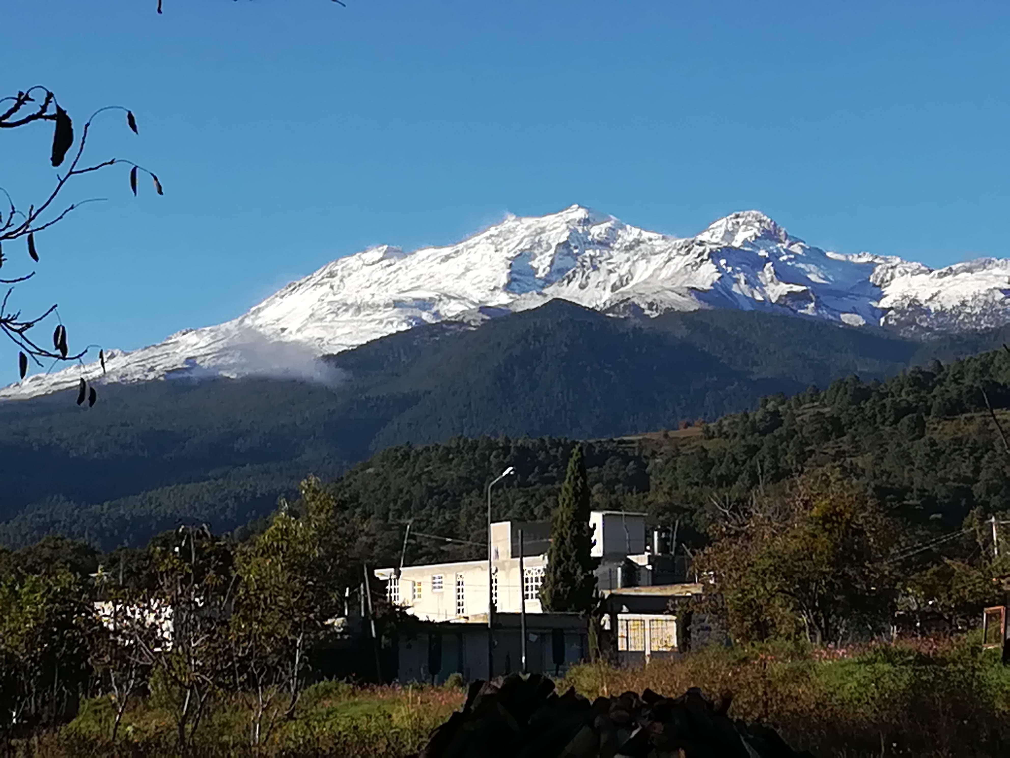 Taquitos San Rafa image 5