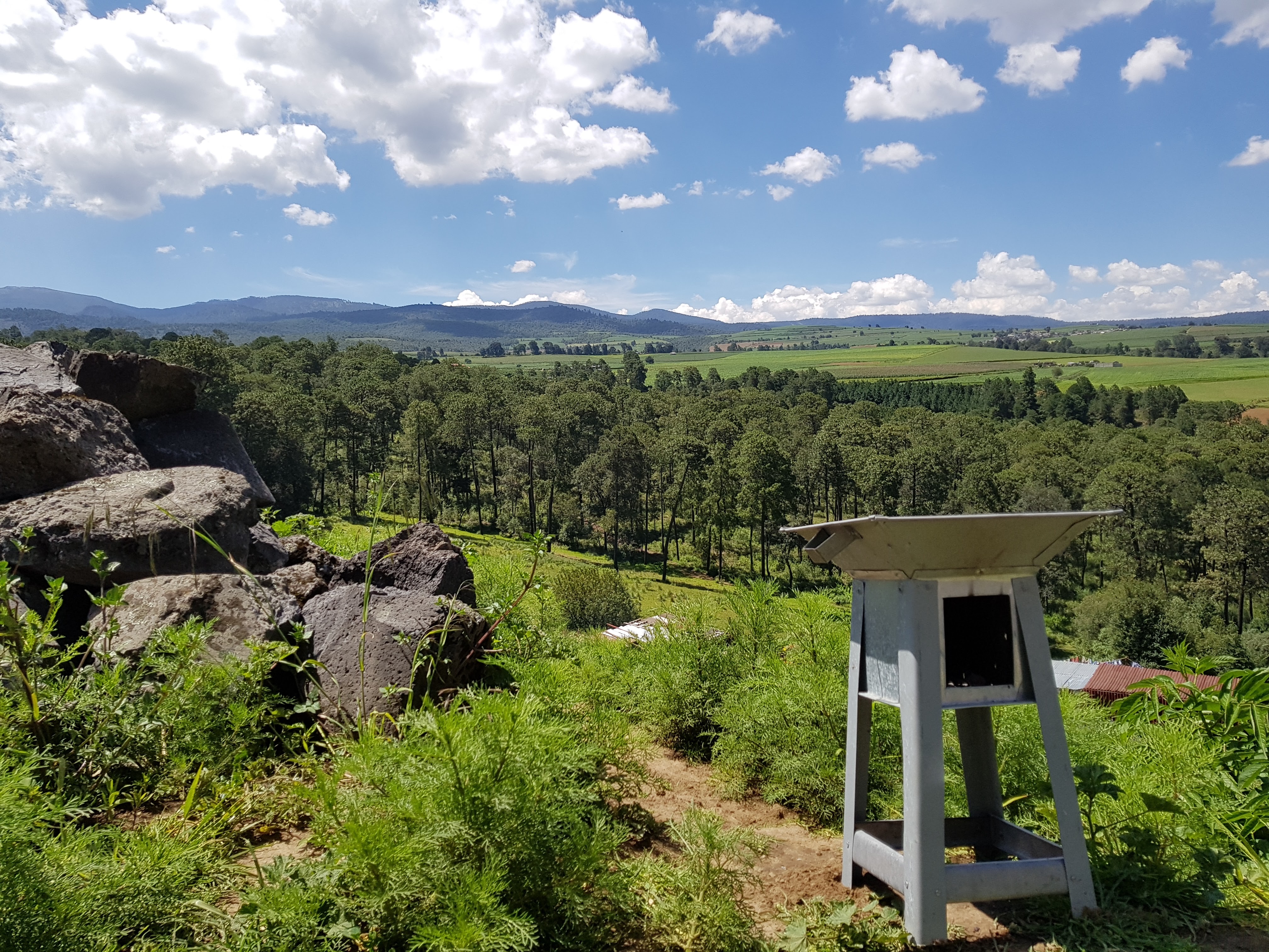 Restaurante “El Paisaje” image 10