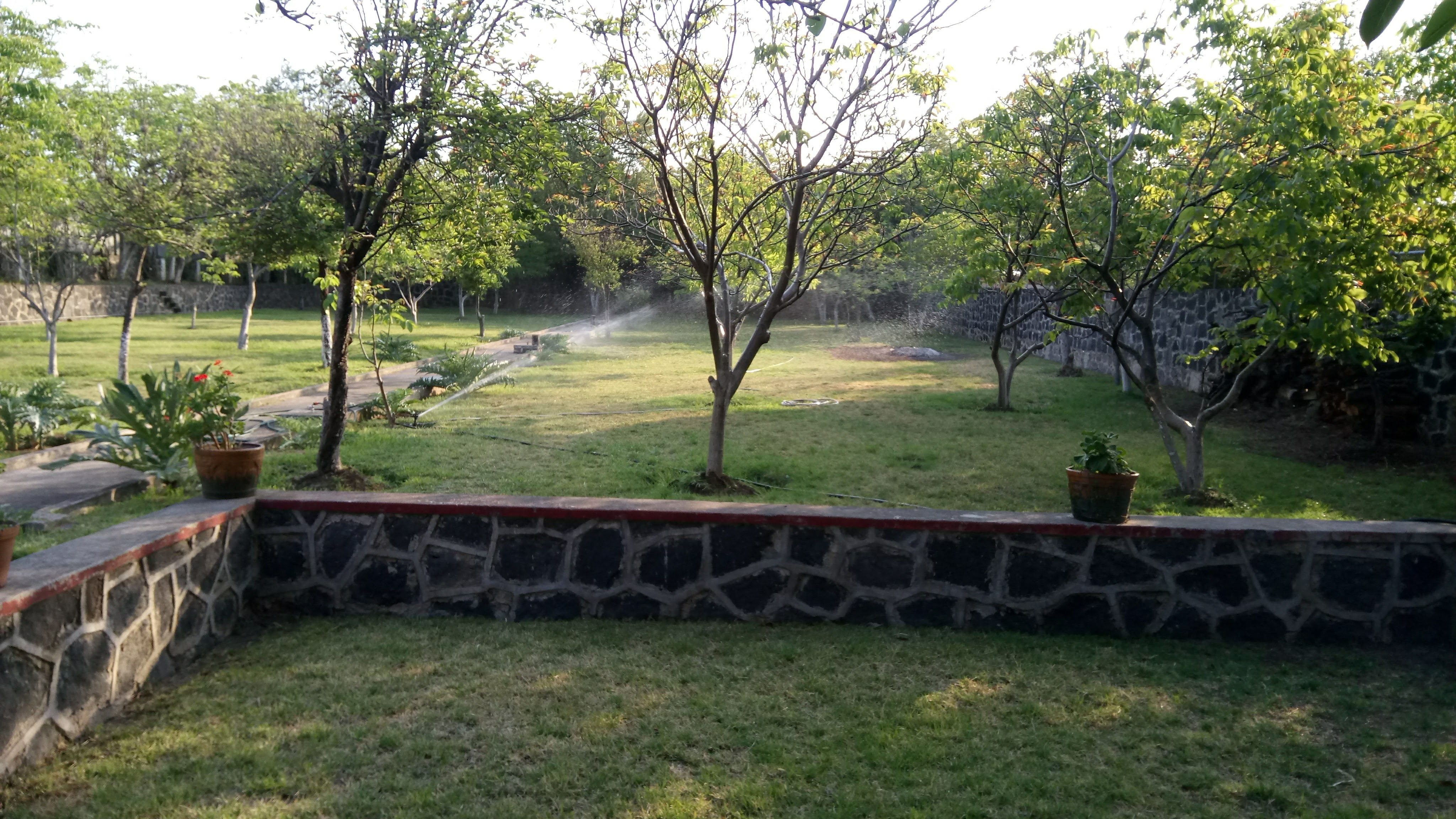 Pension "Las Trojes" image 4