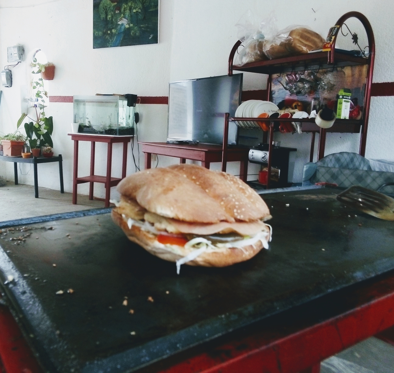 Sazzón & Raíces image 9