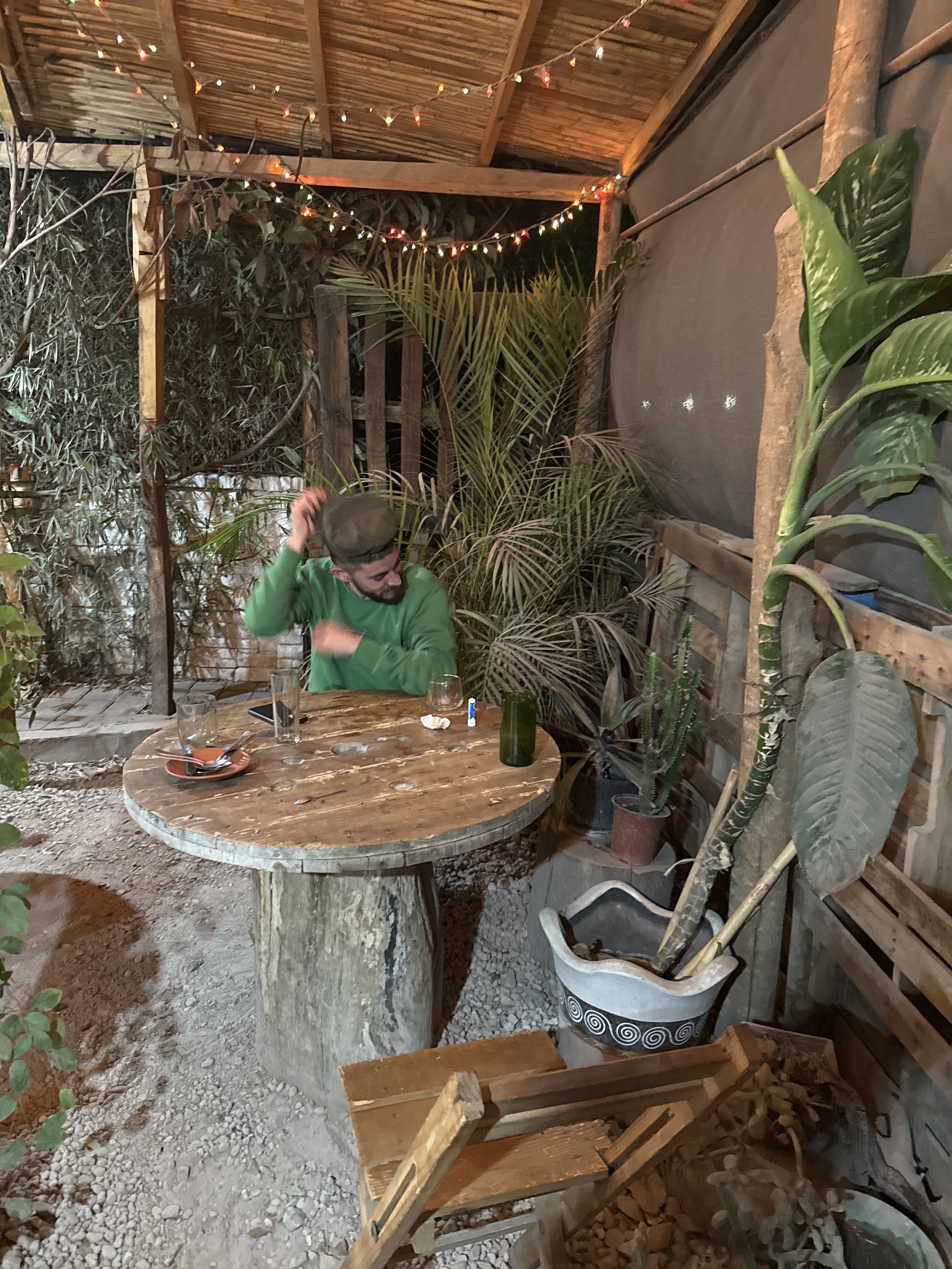 El Patio del Gato Gordo image 5