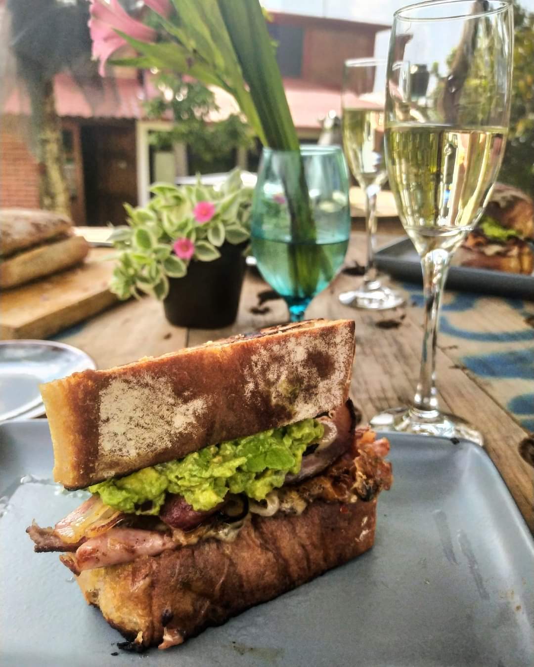 El Patio del Gato Gordo image 8