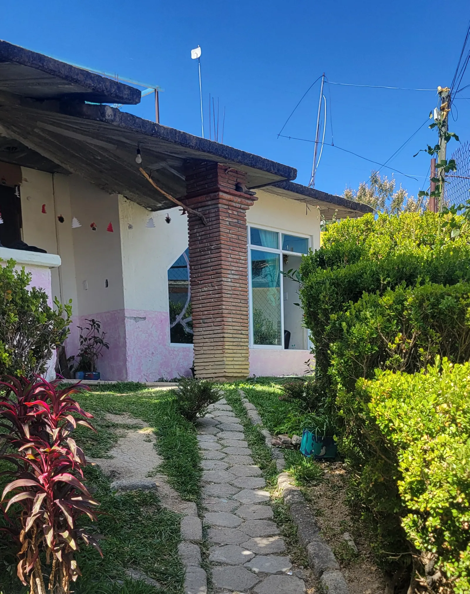 El Jardín image 2