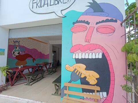 Frida Libre image 1