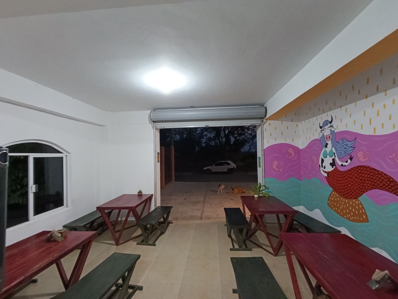 Frida Libre image 3
