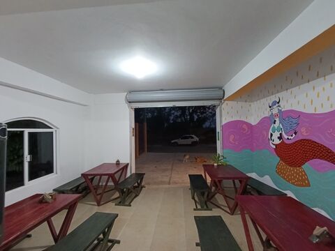 Frida Libre image 3