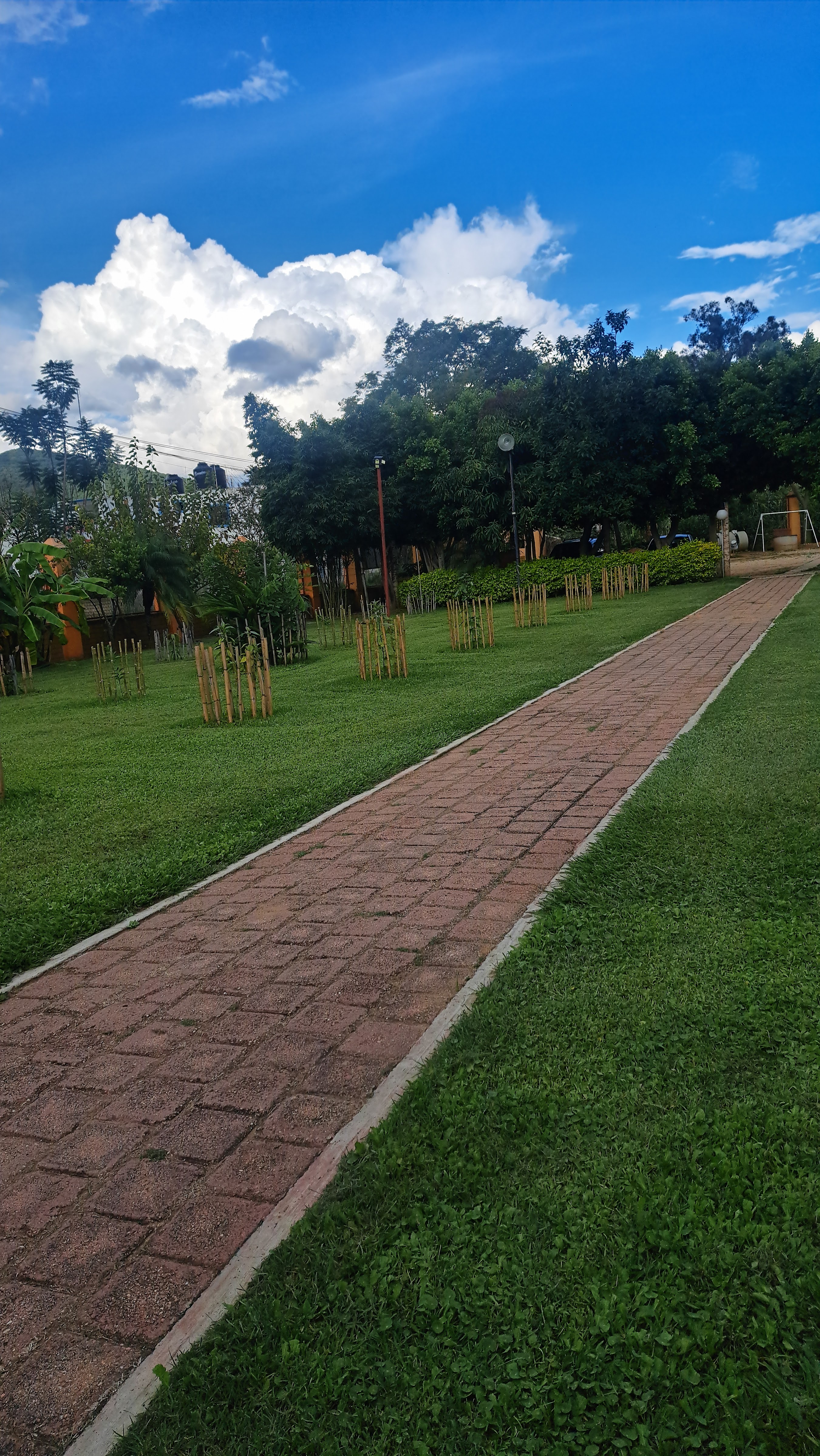 Los Huípíles Restaurant Buffet Bar image 9
