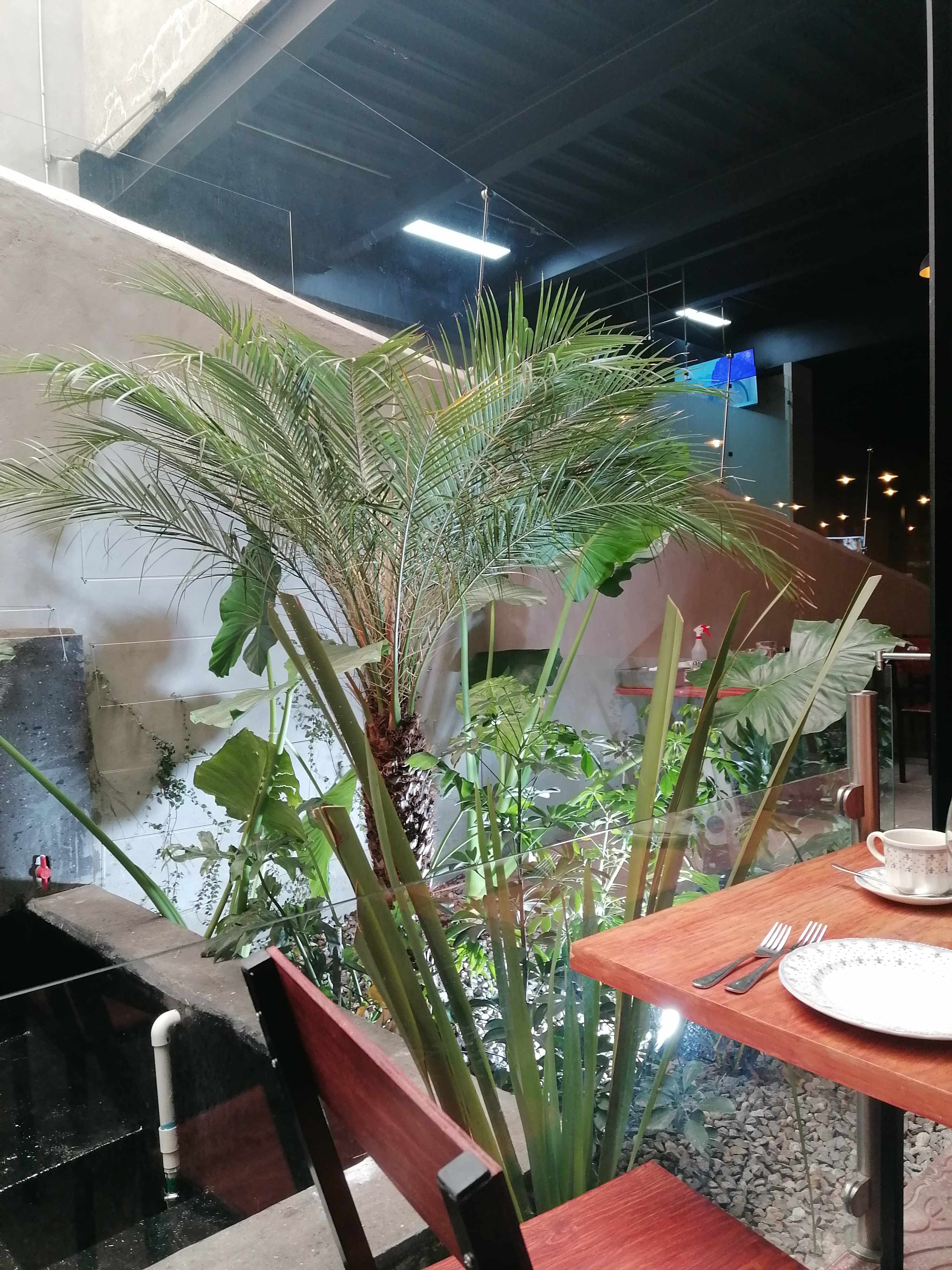 Encuentro Restaurante image 6