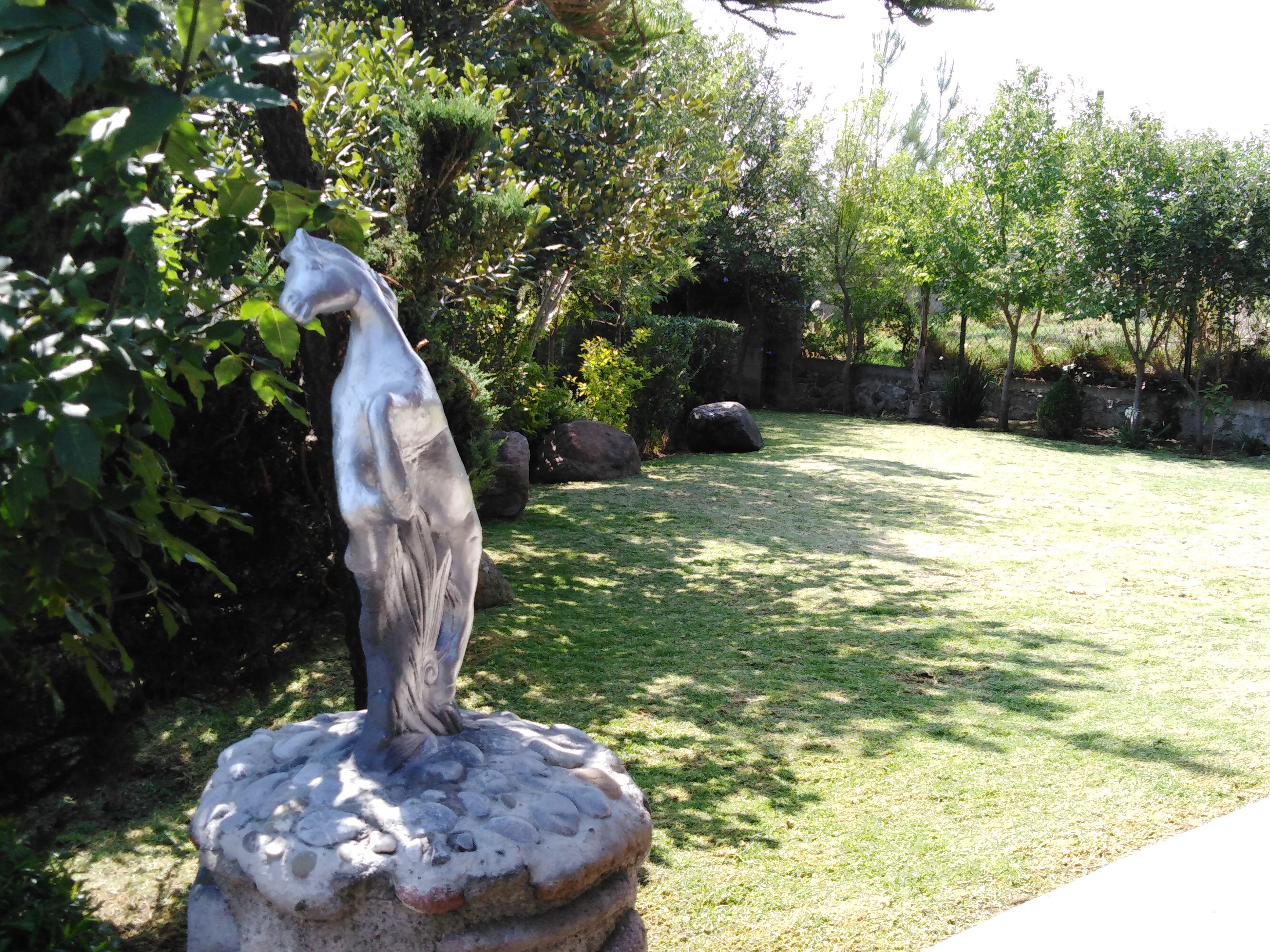 Santo Remedio Beer Garden image 4