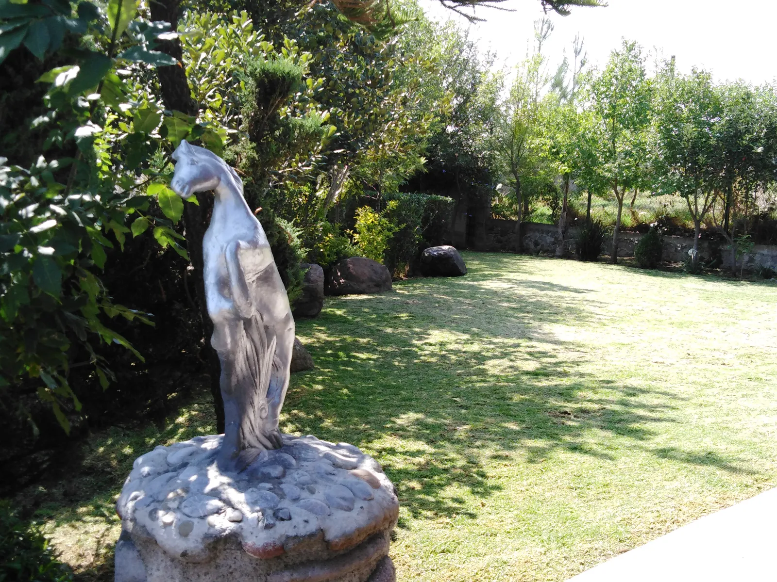 Santo Remedio Beer Garden image 4