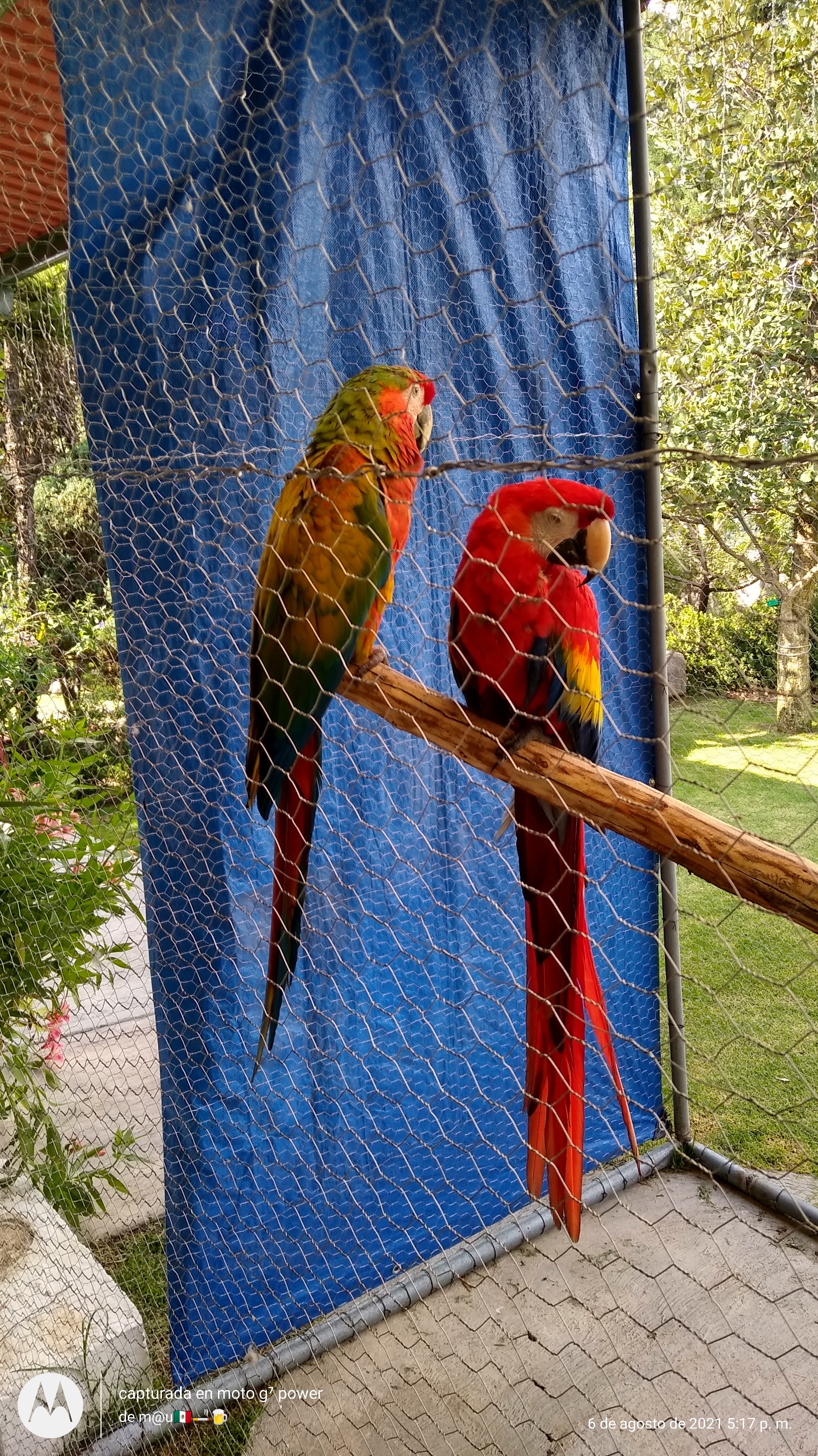 Santo Remedio Beer Garden image 6