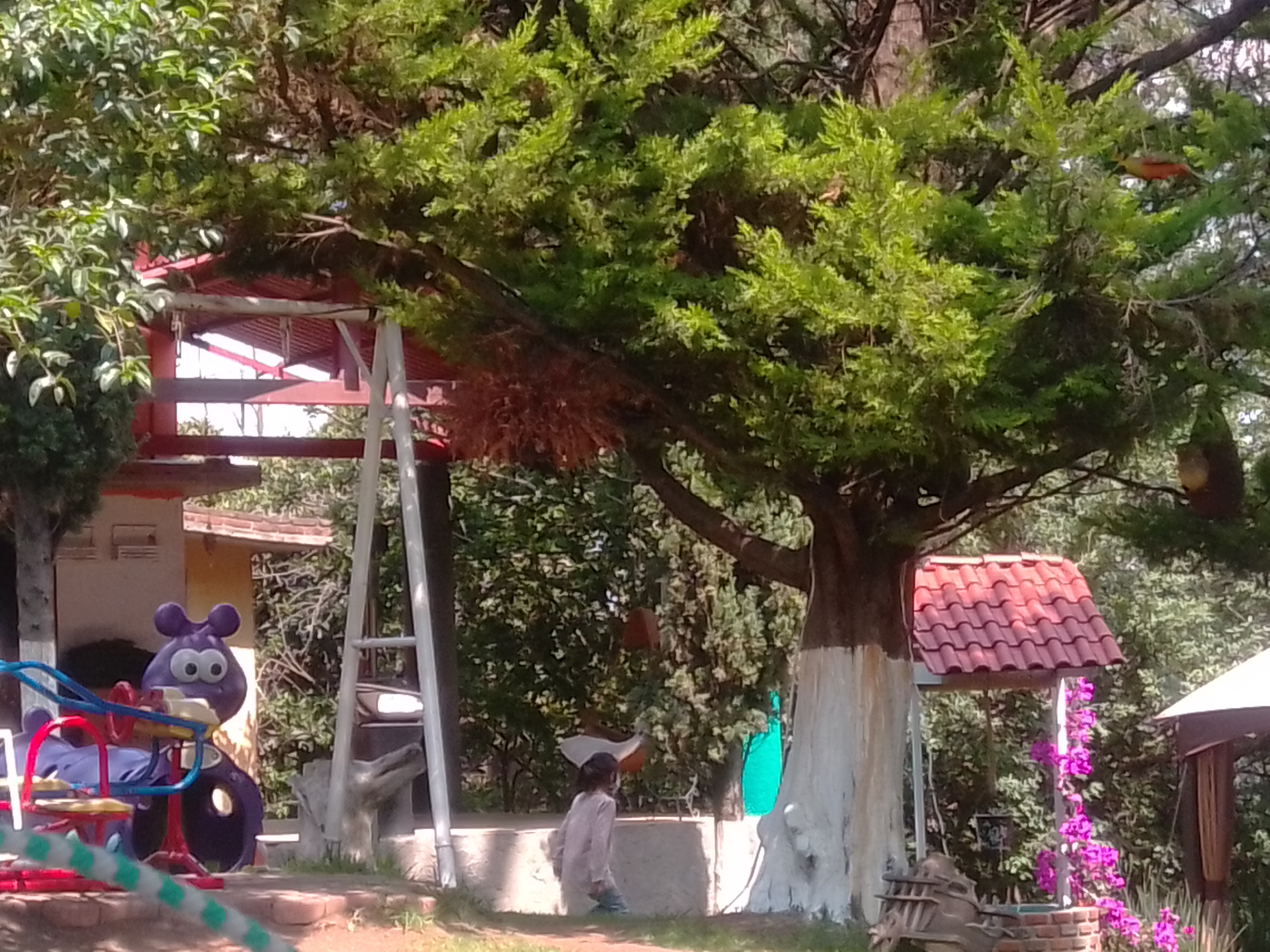 Angelo's Pizza image 4