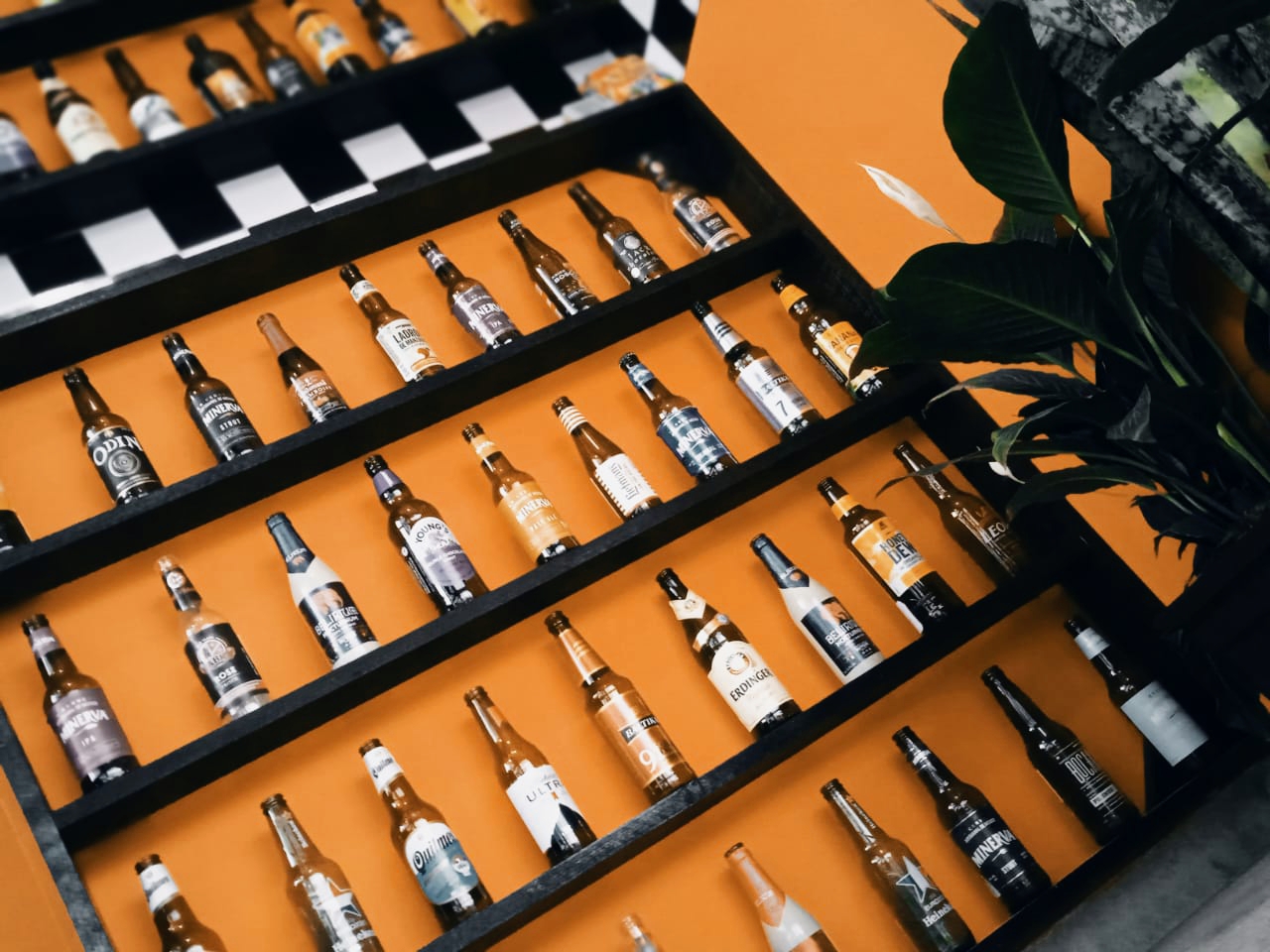 Pits Terraza image 8