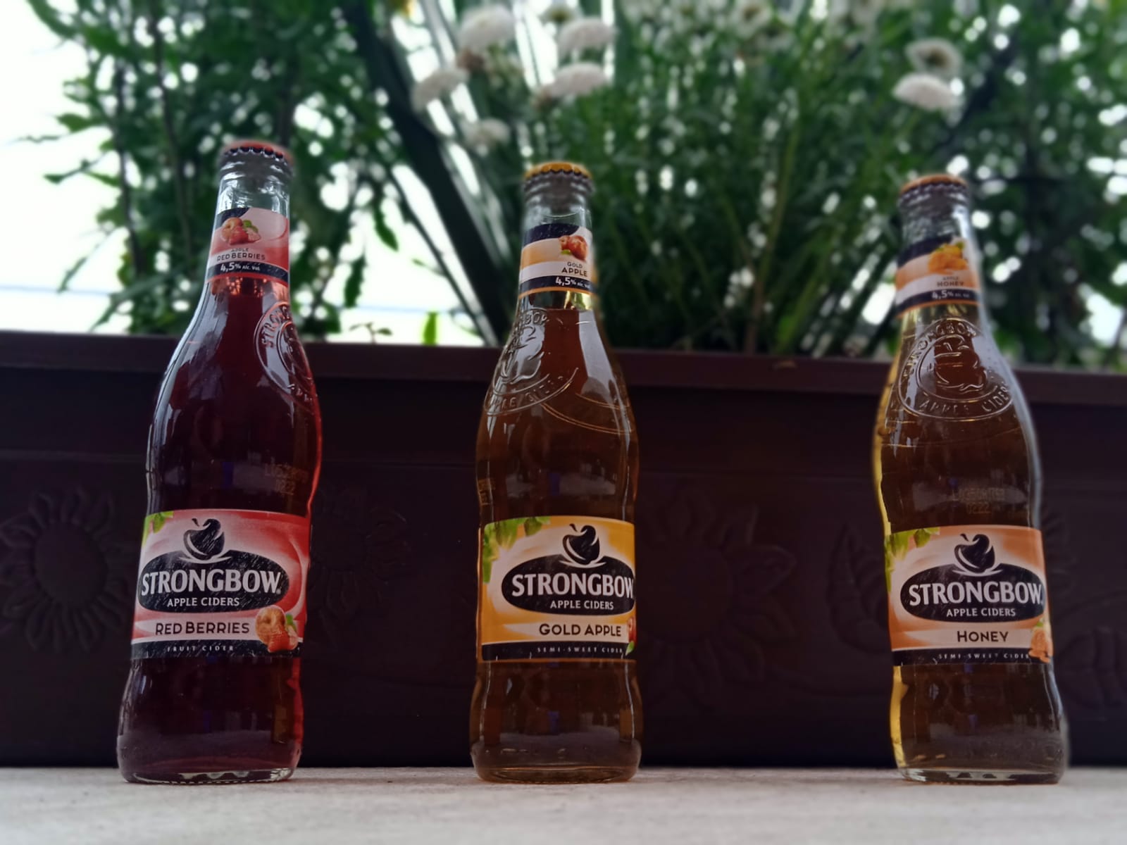 Pits Terraza image 9