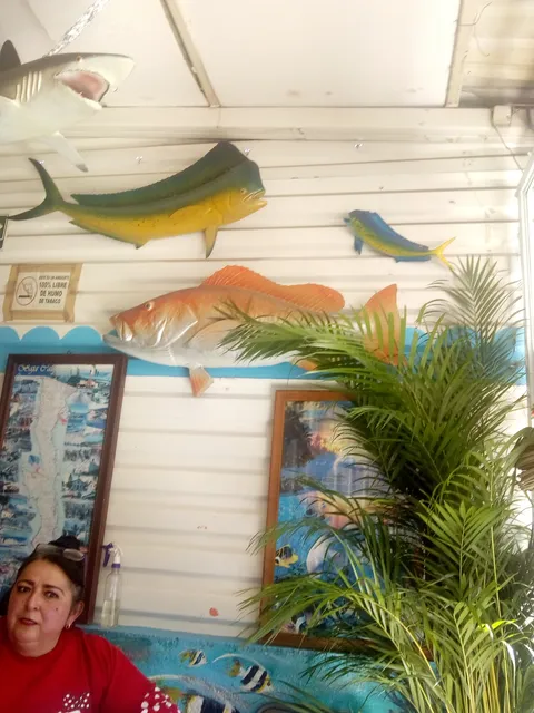 Mariscos Enríquez image 2