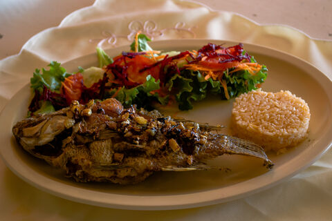 Restaurante y criadero de peces "Los manantiales" image 1