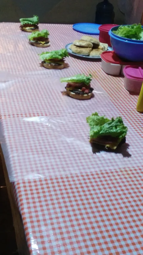 Tona_burguer's image 1