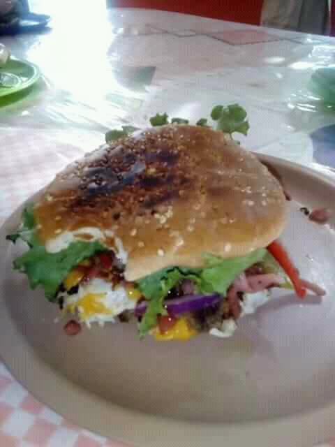 Tona_burguer's image 3